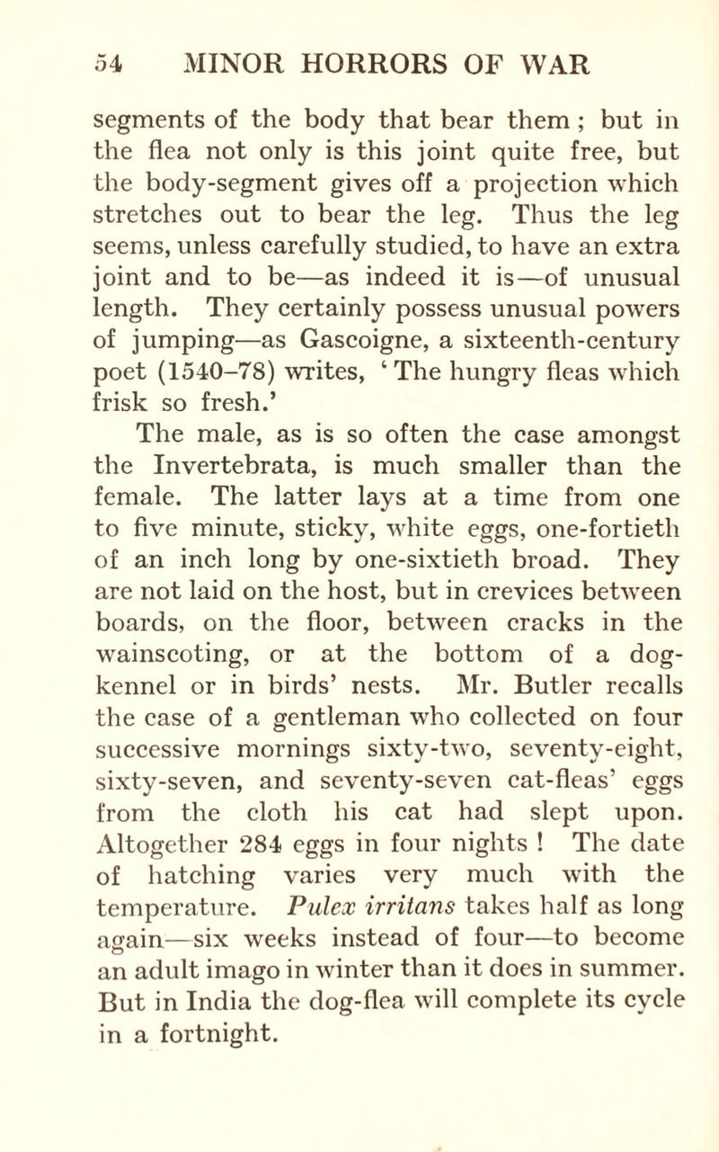 segments of the body that bear them ; but in the flea not only is this joint quite free, but the body-segment gives off a projection which stretches out to bear the leg. Thus the leg seems, unless carefully studied, to have an extra joint and to be—as indeed it is—of unusual length. They certainly possess unusual powers of jumping—as Gascoigne, a sixteenth-century poet (1540-78) writes, ‘The hungry fleas which frisk so fresh.’ The male, as is so often the case amongst the Invertebrata, is much smaller than the female. The latter lays at a time from one to five minute, sticky, white eggs, one-fortieth of an inch long by one-sixtieth broad. They are not laid on the host, but in crevices between boards, on the floor, between cracks in the wainscoting, or at the bottom of a dog- kennel or in birds’ nests. Mr. Butler recalls the case of a gentleman who collected on four successive mornings sixty-two, seventy-eight, sixty-seven, and seventy-seven cat-fleas’ eggs from the cloth his cat had slept upon. Altogether 284 eggs in four nights ! The date of hatching varies very much with the temperature. Pulex irritans takes half as long again—six weeks instead of four—to become an adult imago in winter than it does in summer. But in India the dog-flea will complete its cycle in a fortnight.