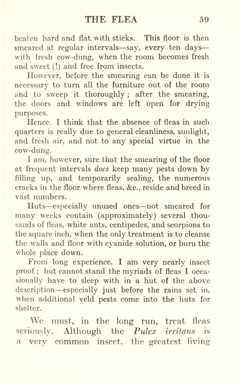 beaten hard and flat with sticks. This floor is then smeared at regular intervals—say, every ten days— with fresh cow-dung, when the room becomes fresh and sweet (!) and free from insects. However, before the smearing can be done it is necessary to turn all the furniture out of the room and to sweep it thoroughly; after the smearing, the doors and windows are left open for drying purposes. Hence, I think that the absence of fleas in such quarters is really due to general cleanliness, sunlight, and fresh air, and not to any special virtue in the cow-dung. I am, however, sure that the smearing of the floor at frequent intervals does keep many pests down by filling up, and temporarily sealing, the numerous cracks in the floor where fleas, &c., reside and breed in vast numbers. Huts—especially unused ones—not smeared for many w'eeks contain (approximately) several thou- sands of fleas, white ants, centipedes, and scorpions to the square inch, when the only treatment is to cleanse the walls and floor wdth cyanide solution, or burn the whole place down. From long experience, I am very nearly insect proof; but cannot stand the myriads of fleas I occa- sionally have to sleep with in a hut of the above description—especially just before the rains set in, when additional veld pests come into the huts for shelter. We must, in the long run, treat fleas seriously. Although the Pulex irritans is a very common insect, the greatest living