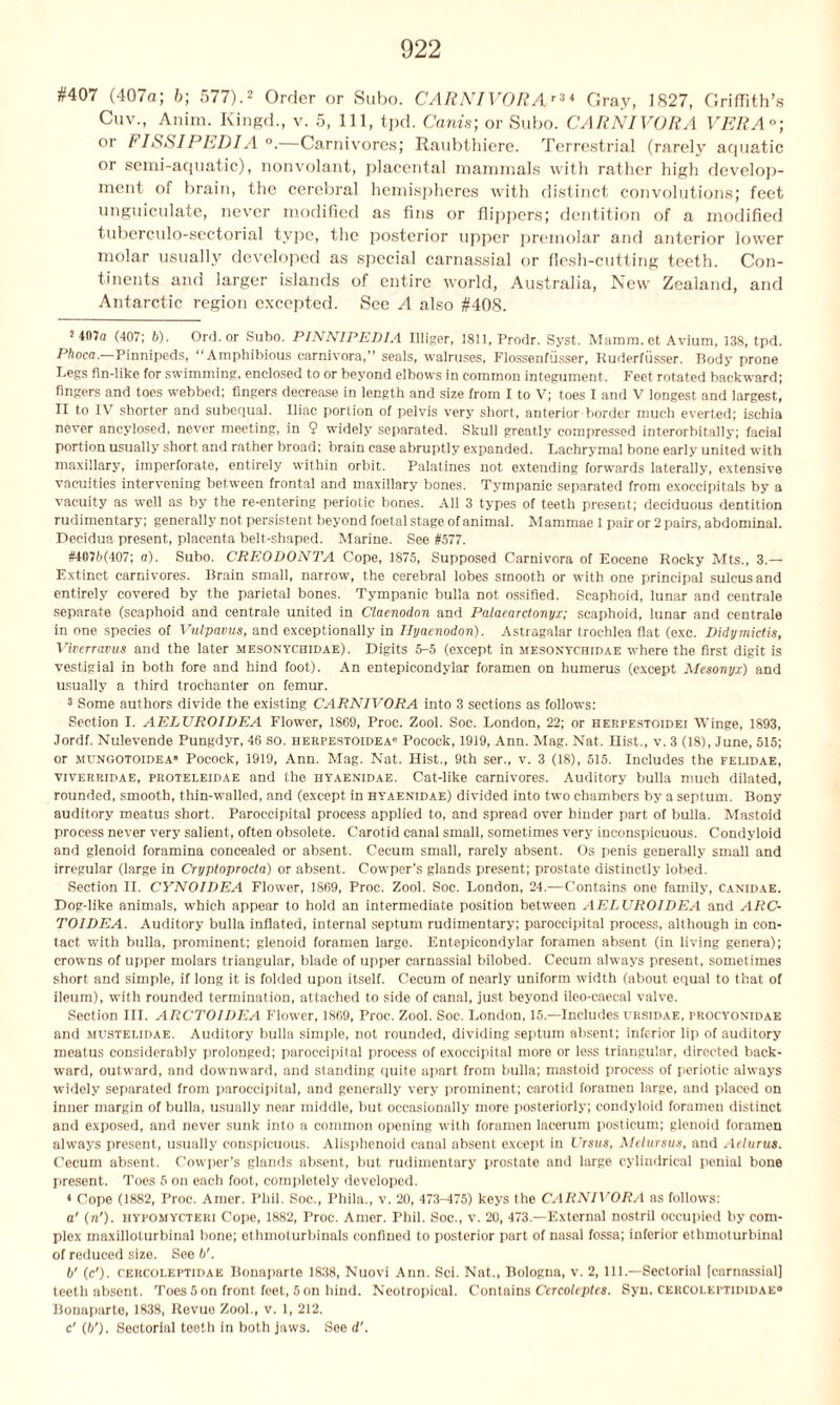 #407 (407a; b; 577).2 3 4 Order or Subo. CARNIVORAr34 Gray, 1827, Griffith’s Cuv., Anim. Kingd., v. 5, 111, tpd. Canis; or Subo. CARNIVORA VERA°; or FISSIPEDIA0.—Carnivores; Raubthiere. Terrestrial (rarely aquatic or semi-aquatic), non volant, placental mammals with rather high develop- ment of brain, the cerebral hemispheres with distinct convolutions; feet unguiculate, never modified as fins or flippers; dentition of a modified tuberculo-sectorial type, the posterior upper premolar and anterior lower molar usually developed as special carnassial or flesh-cutting teeth. Con- tinents and larger islands of entire world, Australia, New Zealand, and Antarctic region excepted. See A also #408. 2 407o (407; b). Ord. or Subo. PINNIPEDIA Illiger, 1811, Prodr. Syst. Mamm. et Avium, 138, tpd. Phoca— Pinnipeds, “Amphibious carnivora,” seals, walruses, Flossenfiisser, Ruderfiisser. Body prone Legs fm-like for swimming, enclosed to or beyond elbows in common integument. Feet rotated backward; fingers and toes webbed; fingers decrease in length and size from I to V; toes I and V longest and largest, II to IV shorter and subequal. Iliac portion of pelvis very short, anterior border much everted; ischia never ancylosed, never meeting, in 9 widely separated. Skull greatly compressed interorbitally; facial portion usually short and rather broad; brain case abruptly expanded. Lachrymal bone early united with maxillary, imperforate, entirely within orbit. Palatines not extending forwards laterally, extensive vacuities intervening between frontal and maxillary bones. Tympanic separated from exoccipitals by a vacuity as well as by the re-entering periotic bones. All 3 types of teeth present; deciduous dentition rudimentary; generally not persistent beyond foetal stage of animal. Mammae 1 pair or 2 pairs, abdominal. Decidua present, placenta belt-shaped. Marine. See #577. #4076(407; a). Subo. CREODONTA Cope, 1875, Supposed Carnivora of Eocene Rocky Mts., 3.— Extinct carnivores. Brain small, narrow, the cerebral lobes smooth or with one principal sulcus and entirely covered by the parietal bones. Tympanic bulla not ossified. Scaphoid, lunar and centrale separate (scaphoid and centrale united in Claenodon and Palaearctonyx; scaphoid, lunar and centrale in one species of Vulpavus, and exceptionally in Hyaenodori). Astragalar trochlea flat (exc. Didymictis, Viverravus and the later mesonychidae). Digits 5-5 (except in mesonychidae where the first digit is vestigial in both fore and hind foot). An entepicondylar foramen on humerus (except Mesonyx) and usually a third trochanter on femur. 3 Some authors divide the existing CARNIVORA into 3 sections as follows: Section I. AELUROIDEA Flower, 1869, Proc. Zool. Soe. London, 22; or herpestoidei Winge, 1893, Jordf. Nulevende Pungdyr, 46 so. herpestoidea Pocock, 1919, Ann. Mag. Nat. Hist., v. 3 (18), June, 515; or mungotoidea Pocock, 1919, Ann. Mag. Nat. Hist., 9th ser., v. 3 (18), 515. Includes the feudae, Viverridae, proteleidae and the hyaenidae. Cat-like carnivores. Auditory bulla much dilated, rounded, smooth, thin-walled, and (except in hyaenidae) divided into two chambers by a septum. Bony auditory meatus short. Paroccipital process applied to, and spread over hinder part of bulla. Mastoid process never very salient, often obsolete. Carotid canal small, sometimes very inconspicuous. Condyloid and glenoid foramina concealed or absent. Cecum small, rarely absent. Os penis generally small and irregular (large in Cryptoprocta) or absent. Cowper’s glands present; prostate distinctly lobed. Section II. CYNOIDEA Flower, 1869, Proc. Zool. Soc. London, 24.—Contains one family, canidae. Dog-like animals, which appear to hold an intermediate position between AELUROIDEA and ARC- TOIDEA. Auditory bulla inflated, internal septum rudimentary; paroccipital process, although in con- tact with bulla, prominent; glenoid foramen large. Entepicondylar foramen absent (in living genera); crowns of upper molars triangular, blade of upper carnassial bilobed. Cecum always present, sometimes short and simple, if long it is folded upon itself. Cecum of nearly uniform width (about equal to that of ileum), with rounded termination, attached to side of canal, just beyond ileo-caecal valve. Section III. ARCTOIDEA Flower, 1869, Proc. Zool. Soc. London, 15.—Includes ursidae, frocyonidae and mustelidae. Auditory bulla simple, not rounded, dividing septum absent; inferior lip of auditory meatus considerably prolonged; paroccipital process of exoccipital more or less triangular, directed back- ward, out ward, and downward, and standing quite apart from bulla; mastoid process of periotic always widely separated from paroccipital, and generally very prominent; carotid foramen large, and placed on inner margin of bulla, usually near middle, but occasionally more posteriorly; condyloid foramen distinct and exposed, and never sunk into a common opening with foramen lacerum posticum; glenoid foramen always present, usually conspicuous. Alisphenoid canal absent except in Ursus, Melursus, and Aelurus. Cecum absent. Cowper's glands absent, but rudimentary prostate and large cylindrical penial bone present. Toes 5 on each foot, completely developed. 4 Cope (1882, Proc. Amer. Phil. Soc., Phila., v. 20, 473-475) keys the CARNIVORA as follows: a' (n'). liYFOMYCTEUi Cope, 1882, Proc. Amer. Phil. Soc., v. 20, 473.—External nostril occupied by com- plex maxilloturbinal bone; ethmoturbinals confined to posterior part of nasal fossa; inferior ethmoturbinal of reduced size. See b'. b' (c'). cercoleftidae Bonaparte 1838, Nuovi Ann. Sci. Nat., Bologna, v. 2, 111.—Sectorial [carnassial] teeth absent. Toes 5 on front feet, 5 on hind. Neotropical. Contains Cercolcptes. Syn. cercoleftididae0 Bonaparte, 1838, Revue Zool., v. 1, 212. c' (6'). Sectorial teeth in both jaws. See d'.