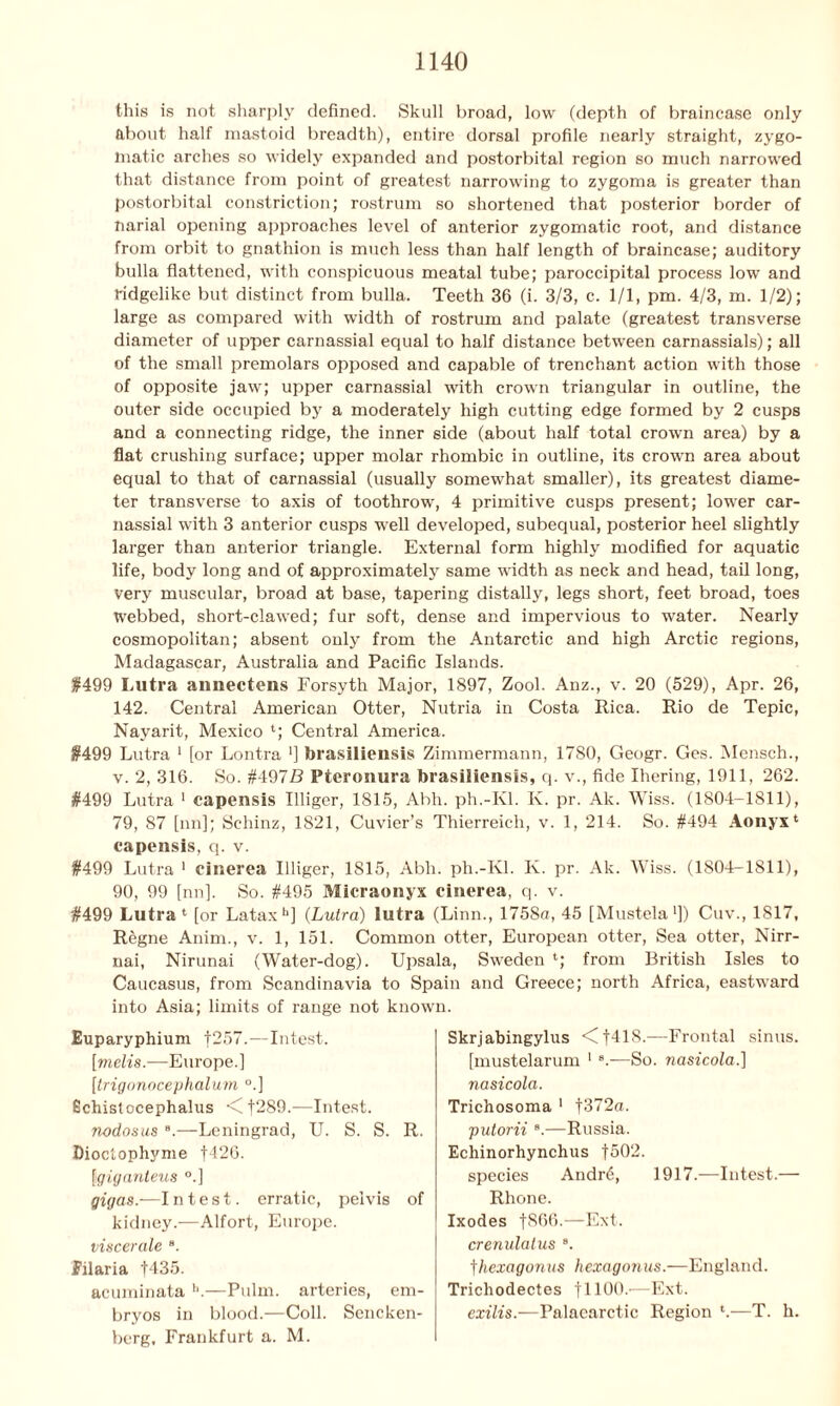 this is not sharply defined. Skull broad, low (depth of braincase only about half mastoid breadth), entire dorsal profile nearly straight, zygo- matic arches so widely expanded and postorbital region so much narrowed that distance from point of greatest narrowing to zygoma is greater than postorbital constriction; rostrum so shortened that posterior border of narial opening approaches level of anterior zygomatic root, and distance from orbit to gnathion is much less than half length of braincase; auditory bulla flattened, with conspicuous meatal tube; paroccipital process low and ridgelike but distinct from bulla. Teeth 36 (i. 3/3, c. 1/1, pm. 4/3, m. 1/2); large as compared with width of rostrum and palate (greatest transverse diameter of upper carnassial equal to half distance between carnassials); all of the small premolars opposed and capable of trenchant action with those of opposite jaw; upper carnassial with crown triangular in outline, the outer side occupied by a moderately high cutting edge formed by 2 cusps and a connecting ridge, the inner side (about half total crown area) by a flat crushing surface; upper molar rhombic in outline, its crown area about equal to that of carnassial (usually somewhat smaller), its greatest diame- ter transverse to axis of toothrow, 4 primitive cusps present; lower car- nassial with 3 anterior cusps well developed, subequal, posterior heel slightly larger than anterior triangle. External form highly modified for aquatic life, body long and of approximately same width as neck and head, tail long, very muscular, broad at base, tapering distally, legs short, feet broad, toes webbed, short-clawed; fur soft, dense and impervious to water. Nearly cosmopolitan; absent only from the Antarctic and high Arctic regions, Madagascar, Australia and Pacific Islands. #499 Lntra annectens Forsyth Major, 1897, Zool. Anz., v. 20 (529), Apr. 26, 142. Central American Otter, Nutria in Costa Rica. Rio de Tepic, Nayarit, Mexico 4; Central America. #499 Lutra 1 [or Lontra '] brasiliensis Zimmermann, 1780, Geogr. Ges. Mensch., v. 2, 316. So. #497S Pteronura brasiliensis, q. v., fide Ihering, 1911, 262. #499 Lutra 1 capensis Illiger, 1815, Abh. ph.-Kl. K. pr. Ak. Wiss. (1804-1811), 79, 87 [nn]; Schinz, 1821, Cuvier’s Thierreich, v. 1, 214. So. #494 Aonyx4 capensis, q. v. #499 Lutra 1 cinerea Illiger, 1815, Abh. ph.-Kl. K. pr. Ak. Wiss. (1804-1811), 90, 99 [nn]. So. #495 Micraonyx cinerea, q. v. #499 Lutra4 [or Latax1'] {Lutra) lutra (Linn., 1758a, 45 [Mustela1]) Cuv., 1817, Regne Anim., v. 1, 151. Common otter, European otter, Sea otter, Nirr- nai, Nirunai (Water-dog). Upsala, Sweden 4; from British Isles to Caucasus, from Scandinavia to Spain and Greece; north Africa, eastward into Asia; limits of range not known. Euparyphium |257.—Intest. [metis.—Europe.] [trigonocephalurn °.] Echistocephalus <Cf289.—Intest. nodosus B.—Leningrad, U. S. S. R. Dioctophyme f426. [igiganteus °.] gigas.—I n t e s t. erratic, pelvis of kidney.—Alfort, Europe. viscerate B. filaria |435. acuminata h.—Pulm. arteries, em- bryos in blood.—Coll. Sencken- berg, Frankfurt a. M. Skrjabingylus <t418.—Frontal sinus, [mustelarum 1 8.—So. nasicola.] nasicola. Trichosoma 1 f372a. putorii B.—Russia. Echinorhynchus |502. species Andrd, 1917.—Intest.— Rhone. Ixodes fS66.—Ext. crenulatus B. fhexagonus hexagonus.—England. Trichodectes jUdO.—Ext. exilis.—Palaearctic Region 4.—T. h.