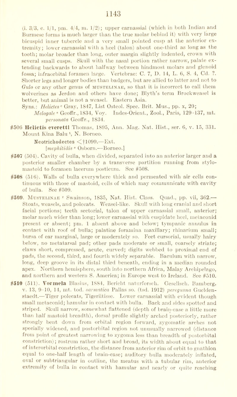 (i. 3/3, c. 1/1, pm. 4/4, m. 1/2); upper carnassial (which in both Indian and Burmese forms is much larger than the true molar behind it) with very large bicuspid inner tubercle and a very small pointed cusp at the anterior ex- tremity, lower carnassial with a heel (talon) about one-third as long as the tooth; molar broader than long, outer margin slightly indented, crown with several small cusps. Skull with the nasal portion rather narrow, palate ex- tending backwards to about halfway between hindmost molars and glenoid fossa; infraorbital foramen large. Vertebrae: C. 7, D. 14, L. 6, S. 4, Cd. ?. Shorter legs and longer bodies than badgers, but are allied to latter and not to Gulo or any other genus of mustelinae, so that it is incorrect to call them wolverines as Jordon and others have done; Blyth’s term Brock weasel is better, but animal is not a weasel. Eastern Asia. Syns.: Helidesc Gray, 1847, List Osteol. Spec. Brit. Mus., pp. x, 20; Melogale “ Geoffr., 1834, Voy. Indes-Orient., Zook, Paris, 129-137, mt. personata GeofTr., 1834. #506 Ilelictis everettl Thomas, 1895, Ann. Mag. Nat. Hist., ser. 6, v. 15, 331. Mount Kina Balu ‘, N. Borneo. Neotrichodectes <C|lb99.—Ext. [mephitidis 8 Osborn.-—Borneo.] #507 (504). Cavity of bulla, when divided, separated into an anterior larger and a posterior smaller chamber by a transverse partition running from stylo- mastoid to foramen lacerum posticum. See #508. #508 (516). Walls of bulla everywhere thick and permeated with air cells con- tinuous with those of mastoid, cells of which may communicate with cavity of bulla. See #509. #501). Mustelinae r Swainson, 1835, Nat. Hist. Class. Quad., pp. vii, 362.— Stoats, weasels, and polecats. Weasel-like. Skull with long cranial and short facial portions; teeth sectorial, talon of upper carnassial small, anterior; molar much wider than long; lower carnassial with cuspidate heel, metaconid present or absent; pm. 1 absent above and below; tympanic annulus in contact with roof of bulla; palatine foramina maxillary; rhinarium small; bursa of ear marginal, large or moderately so. Feet cursorial, usually hairy below, no metatarsal pad; other pads moderate or small, coarsely striate; claws short, compressed, acute, curved; digits webbed to proximal end of pads, the second, third, and fourth widely separable. Baculum with narrow, long, dee;i groove in its distal third beneath, ending in a median rounded apex. Northern hemisphere, south into northern Africa, Malay Archipelago, and northern and western S. America; in Europe west to Ireland. See #510. #510 (511). V ormela Blasius, 1S84, Bericht naturforseli. Gesellsch. Bamberg, v. 13, 9 10, 14, mt. tod. sarmatica Pallas so. (tsd. 1912) peregusna Guelden- staedt.—Tiger polecats, Tigeriltisse. Lower carnassial with evident though small metaconid; hamular in contact with bulla. Back and sides spotted and striped. Skull narrow, somewhat flattened (depth of brain-case a little more than half mastoid breadth), dorsal profile slightly arched posteriorly, rather strongly bent down from orbital region forward, zygomatic arches not specially widened, and postorbital region not unusually narrowed (distance from point of greatest narrowing to zygoma less than breadth of postorbital constriction); rostrum rather short and broad, its width about equal to that of interorbital constriction, the distance from anterior rim of orbit to gnathion equal to one-half length of brain-case; auditory bulla moderately inflated, oval or subtriangular in outline, the meatus with a tubular rim, anterior extremity of bulla in contact with hamular and nearly or quite reaching
