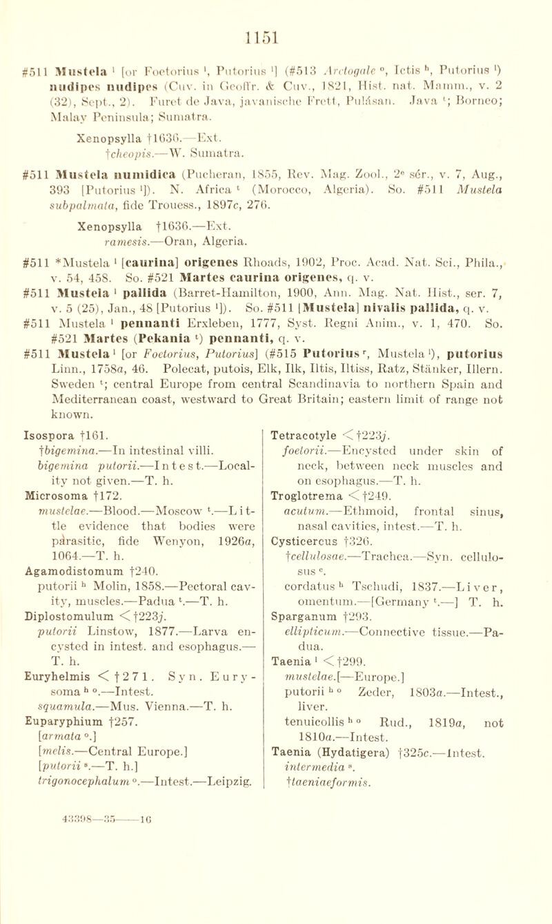 #511 Mustela 1 [or Foetorius ’, Putorius '] (#513 Ardogale0, Ictis h, Putorius ') nudipes midipcs (Cuv. in Geoffr. & Cuv., 1821, Hist. nat. Mainrn., v. 2 (32), Sept., 2). Furct de Java, javanische Frett, Pukisan. Java Borneo; Malay Peninsula; Sumatra. Xenopsylla [1630.—Ext. tcheopis.—W. Sumatra. #511 Mustela numidioa (Pucheran, 1855, Rev. Mag. Zool., 2° s6r., v. 7, Aug., 393 [Putorius1]). N. Africa1 (Morocco, Algeria). So. #511 Mustela subpabnata, fide Trouess., 1897c, 270. Xenopsylla f 1630.—Ext. ramesis.—Oran, Algeria. #511 *Mustela 1 [caurina] origenes Rhoads, 1902, l’roc. Acad. Nat. Sei., Phila., v. 54, 458. So. #521 Martes caurina origenes, q. v. #511 Mustela1 pallida (Barret-Hamilton, 1900, Ann. Mag. Nat. Hist., ser. 7, v. 5 (25), Jan., 48 [Putorius ']). So. #511 |Mustela] nivalis pallida, q. v. #511 Mustela 1 pennanti Erxleben, 1777, Syst. Regni Anim., v. 1, 470. So. #521 Martes (Pekania l) pennanti, q. v. #511 Mustela1 [or Foetorius, Putorius] (#515 Putoriusr, Mustela1), putorius Linn., 1758a, 46. Polecat, putois, Elk, Ilk, litis, Iltiss, Ratz, Stanker, Illern. Sweden *; central Europe from central Scandinavia to northern Spain and Mediterranean coast, westward to Great Britain; eastern limit of range not known. Isospora fl61. tbigemina.—In intestinal villi. bigeniina putorii.—I n t e s t.—Local- ity not given.—T. h. Microsoma f 172. mustelae.—Blood.—Moscow t.—L i t- tle evidence that bodies were parasitic, fide Wenyon, 1926a, 1064.—T. h. Agamodistomum f240. putorii h Molin, 1858.—Pectoral cav- ity, muscles.—Padua t.—T. h. Diplostomulum <Cf223j. putorii Linstow, 1877.—Larva en- cysted in intest, and esophagus.— T. h. Euryhelmis < j 2 7 1 . Syn. Eury- soma b °.—Intest. squamula.—Mus. Vienna.—T. h. Euparyphium f257. [armata °.] [melis.—Central Europe.] [putorii 8.—T. h.] trigonocephalum °.—Intest.—Leipzig. Tetracotyle <Ct223j. foetorii.—Encysted under skin of neck, between neck muscles and on esophagus.—T. h. Troglotrema <Cf249. acutum.—Ethmoid, frontal sinus, nasal cavities, intest.—T. h. Cysticercus f326. fcellulosae.—Trachea.—Syn. cellulo- sus °. cordatus h Tschudi, 1837.—Liver, omentum.—[Germany *.—] T. h. Sparganum f293. ellipticum.-—Connective tissue.—Pa- dua. Taenia 1 < f299. mustelae.[—Europe.] putorii b0 Zeder, 1803a.—Intest., liver. tenuicollish ° Rud., 1819a, not 1810a.—Infest. Taenia (Hydatigera) ]325c.—Infest. intermedia 8. f laeniaeformis. 10 43398