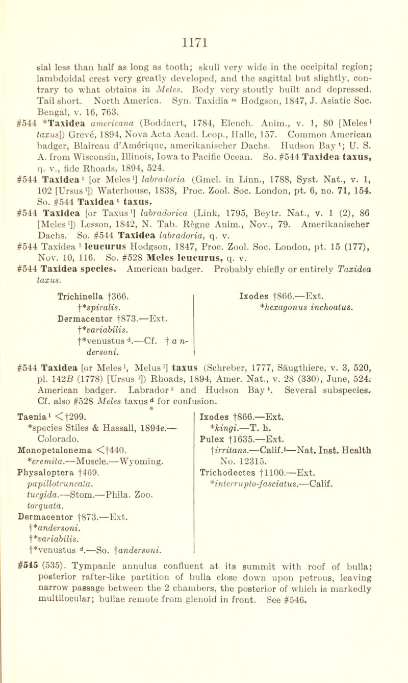 sial less than half as long as tooth; skull very wide in the occipital region; lambdoidal crest very greatly developed, and the sagittal but slightly, con- trary to what obtains in Meles. Body very stoutly built and depressed. Tail short. North America. Syn. Taxidia ra Hodgson, 1847, J. Asiatic Soc. Bengal, v. 16, 763. #544 *Taxidea americana (Boddaert, 1784, Elench. Anim., v. 1, 80 [Meles1 taxus]) Grevd, 1894, Nova Acta Acad. Leop., Halle, 157. Common American badger, Blaireau d’Amdrique, amerikanischer Dachs. Hudson Bay 4; U. S. A. from Wisconsin, Illinois, Iowa to Pacific Ocean. So. #544 Taxidea taxus, q. v., fide Rhoads, 1894, 524. #544 Taxidea1 [or Meles1] labradoria (Gmel. in Linn., 1788, Syst. Nat., v. 1, 102 [Ursus']) Waterhouse, 1838, Proc. Zool. Soc. London, pt. 6, no. 71, 154. So. #544 Taxidea 4 taxus. #544 Taxidea [or Taxus1] labradorica (Link, 1795, Bcytr. Nat., v. 1 (2), 86 [Meles1]) Lesson, 1842, N. Tab. Regne Anim., Nov., 79. Amerikanischer Dachs. So. #544 Taxidea labradoria, q. v. #544 Taxidea 1 leucurus Hodgson, 1847, Proc. Zool. Soc. London, pt. 15 (177), Nov. 10, 116. So. #528 Meles leucurus, q. v. #544 Taxidea species. American badger. Probably chiefly or entirely Taxidea taxus. Trichinella |366. Ixodes f866.—Ext. f*spiralis. *hexagonus inchoatus. Dermacentor t873.—Ext. j*variabilis. f*venustus d.—Cf. ] a n- dersoni. I #544 Taxidea [or Meles1, Melus'] taxus (Schreber, 1777, Saugthiere, v. 3, 520, pi. 142B (1778) [Ursus ']) Rhoads, 1894, Amer. Nat., v. 28 (330), June, 524. American badger. Labrador4 and Hudson Bay4. Several subspecies. Cf. also #528 Meles taxus d for confusion. Taenia1 <7 f299. *species Stiles & Hassall, 1894e.— Colorado. Monopetalonema <f440. *eremila.—Muscle.—Wyoming. Physaloptera f469. papillotruncala. turgida.—Stom.—Phila. Zoo. torquata. Dermacentor f873.—Ext. t *andersoni. j*variabilis. t*venustus d.—So. fandersoni. #545 (535). Tympanic annulus confluent at its summit with roof of bulla; posterior rafter-like partition of bulla close down upon petrous, leaving narrow passage between the 2 chambers, the posterior of which is markedly multilocular; bullae remote from glenoid in front. See #546. Ixodes f866.—Ext. *kingi.—T. h. Pulex 11635— Ext. firritans.—Calif.1—Nat. Inst. Health No. 12315. Trichodectes f 1100.—Ext. *inlerruplo-fasciatus.—Ca\tf.