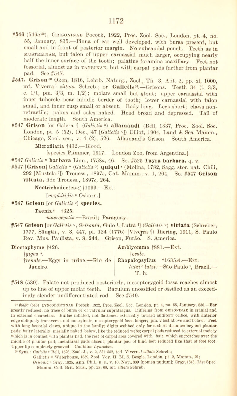 #546 (546a59). Grisoninae Pocock, 1922, Proc. Zool. Soc., London, pt. 4, no. 55, January, 835.—Pinna of ear well developed, with bursa present, but small and in front of posterior margin. No subcaudal pouch. Teeth as in mustelinae, but talon of upper carnassial much larger, occupying nearly half the inner surface of the tooth; palatine foramina maxillary. Feet not fossorial, almost as in tayrinae, but with carpal pads farther from plantar pad. See #547. #547. Orison00 Oken, 1816, Lehrb. Naturg., Zool., Th. 3, Abt. 2, pp. xi, 1000, mt. Viverra1 vittata Schreb.; or Oalictis00.—Orisons. Teeth 34 (i. 3/3, c. 1/1, pin. 3/3, m. 1/2); molars small but stout; upper carnassial with inner tubercle near middle border of tooth; lower carnassial with talon small, and inner cusp small or absent. Body long. Legs short; claws lion- retractile; palms and soles naked. Head broad and depressed. Tail of moderate length. South America. #547 Orison [or Galera '] (Oalictis °) allainandi (Bell, 1837, Proc. Zool. Soc. London, pt. 5 (52), Dec., 47 [Galictis °]) Elliot, 1904, Land & Sea Mamm., Chicago, Zool. ser., v. 4 (2), 526. Allamand’s Grison. South America. Microfilaria f432.—Blood. [species Plimmer, 1917.—London Zoo, from Argentina.] #547 Galictis ° barbara Linn., 1758a, 46. So. #525 Tayra barbara, q. v. #547 [Orison] Galictis ° {Galictis °) quiqui8 (Molina, 1782, Sagg. stor. nat. Chili, 292 [Mustela *]) Trouess., 1897c, Cat. Mamm., v. 1, 264. So. #547 Grison vittata, fide Trouess., 1897c, 264. Neotrichodectes</ fl099.—Ext. [mephitidis 8 Osborn.] #547 Orison [or Galictis °] species. Taeniar f325. macrocystis.—Brazil; Paraguay. #547 Grison [or Galictis °, Grisonia, Gulo ’, Lutra '] {Galictis °) vittata (Schreber, 1777, Saugth., v. 3, 447, pi. 124 (1776) [Viverra1]) Ihering, 1911, S. Paulo Rev. Mus. Paulista, v. 8, 244. Grison, Furao. S. America. Dioctophyme |426. tgigas \ ]renale.—Eggs in urine.—Rio de Janeiro. Amblyomma fS81.—Ext. f ovale. Rhopalopsyllus fl635J..—Ext. lutzic lutzi.—Sao Paulo l, Brazil T. h. #548 (530). Palate not produced posteriorly, mesopterygoid fossa reaches almost up to line of upper molar teeth. Baculum unossified or ossified as an exceed- ingly slender undifferentiated rod. See #549. 58 #546a (546). lyncodontinae Pocock, 1922, Proc. Zool. Soc. London, pt. 4, no. 55, January, 836.—Ear greatly reduced, no trace of bursa or of valvular supratragus. Differing from grisoninae in cranial and In external characters. Bullae inflated, not flattened externally toward auditory orifice, with anterior edge obliquely transverse, not emarginate; mesopterygoid fossa longer; pm. 2 lost above and below. Feet with long fossorial claws, unique in the family; digits webbed only for a short distance beyond plantar pads; hairy laterally, mesially naked below, like the reduced webs; carpal pads reduced to external moiety which is in contact with plantar pad, the rest of carpal area covered with hair, which encroaches over the middle of plantar pad; metatarsal pads absent; plantar pad of hind foot reduced like that of fore foot. Upper lip completely grooved. Contains Lyncodon. 80 Syns.: Galictis o Bell, 1826, Zool. J., v. 2, 551-552, tod. Viverra 1 vittata Schreb.; Gallictis Waterhouse, 1839, Zool. Voy. II. M. S. Beagle, London, pt. 2, Mamm., 21; Grisonia “ Gray, 1825, Ann. Phil., n. s., v. 10, Nov., 339 [nomen nudum]; Gray, 1843, List Spec. Mamm. Coll. Brit. Mus., pp. xx, 68, mt. vittata Schreb.