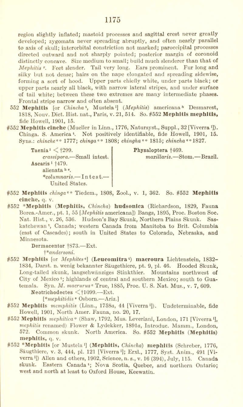 region slightly inflated; mastoid processes and sagittal crest never greatly developed; zygomata never spreading abruptly, and often nearly parallel to axis of skull; interorbital constriction not marked; paroccipital processes directed outward and not sharply pointed; posterior margin of coronoid distinctly concave. Size medium to small; build much slenderer than that of Mephitis r. Feet slender. Tail very long. Ears prominent. Fur long and silky but not dense; hairs on the nape elongated and spreading sidewise, forming a sort of hood. Upper parts chiefly white, under parts black; or upper parts nearly all black, with narrow lateral stripes, and under surface of tail white; between these two extremes are many intermediate phases. Frontal stripe narrow and often absent. 552 Mephitis [or Chincha*, Mustela1] (Mephitis) americanah Desmarest, 1818, Nouv. Diet. Hist, nat., Paris, v. 21, 514. So. #552 Mephitis mephitis, fide Howell, 1901, 15. #552 Mephitis cinche (Mueller in Linn., 1776, Natursyst., Suppl., 32 [Viverra ■]). Chinga. S. America4. Not positively identifiable, fide Howell, 1901, 15. Syns.: chinche00 1777; chingaco 1808; chingha00 1815; chincha 0 ° 1827. Taenia1 < f299. Physaloptera f469. crassipora.—Small intest. maxillaris.—Stom.—Brazil. Ascaris 1 f479. alienata h s. *columnaris.— I n t e s t.— United States. #552 Mephitis chinga0 ° Tiedem., 1S08, Zool., v. 1, 362. So. #552 Mephitis cinche, q. v. #552 *Mephitis (Mephitis, Chincha) hudsoniea (Richardson, 1829, Fauna Borea.-Amer., pt. 1, 55 [Mephitis americana]) Bangs, 1895, Proc. Boston Soc. Nat. Hist., v. 26, 536. Hudson’s Bay Skunk, Northern Plains Skunk. Sas- katchewan 4, Canada; western Canada from Manitoba to Brit. Columbia (east of Cascades); south in United States to Colorado, Nebraska, and Minnesota. Dermacentor f873.—Ext. t *andersoni. #552 Mephitis [or Mephites °] (Leucomitra 4) inacroura Lichtenstein, 1832- 1834, Darst. n. wenig bekannter Saugethiere, pt. 9, pi. 46. Hooded Skunk, Long-tailed skunk, langschwanziges Stinkthier. Mountains northwest of City of Mexico 4; highlands of central and southern Mexico; south to Gua- temala. Syn. M. macrurus0 True, 1885, Proc. U. S. Nat. Mus., v. 7, 609. Neotrichodectes <(fl099.—Ext. [*mephitidis 8 Osborn.—Ariz.] #552 Mephitis memphitis (Linn., 1758a, 44 [Viverra1]). Undeterminable, fide Howell, 1901, North Amer. Fauna, no. 20, 17. #552 Mephitis mephitica0 (Shaw, 1792, Mus. Leveriani, London, 171 [Viverra1], mephitis renamed) Flower & Lydekker, 1891a, Introduc. Mamm., London, 572. Common skunk. North America. So. #552 Mephitis (Mephitis) mephitis, q. v. #552 *Mephitis [or Mustela1] (Mephitis, Chincha) mephitis (Schreber, 1776, Saugthiere, v. 3, 444, pi. 121 [Viverra1]; Erxl., 1777, Syst. Anim., 491 [Vi- verra >]) Allen and others, 1902, Science, n. s., v. 16 (394), July, 115. Canada skunk. Eastern Canada4; Nova Scotia, Quebec, and northern Ontario; west and north at least to Oxford House, Keewatin.