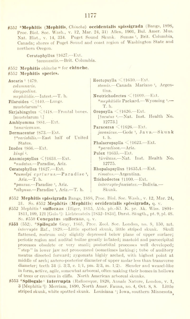 #552 *Mephitls (Mephitis, Chincha) occidentalis spissigrada (Bangs, 1808, Proc. Biol. Soc. Wash., v. 12, Mar. 24, 31) Allen, 1901, Bui. Amer. Mus. Nat. Hist., v. 14, 334. Puget Sound Skunk. Sunias S Brit. Columbia, Canada; shores of Puget Sound and coast region of Washington State and northern Oregon. Ceratophyllus flG27.—Ext. tacamanlis.—Brit. Columbia. #552 Mephitis ohinchem for ehinclie. #552 Mephitis species. Ascaris 1 f479. columnaris. dasypodina. mephitidis.—Intest.—T. h. Filaroides <Ct440.—Lungs. mustelarum19. Skrjabingylus <Ct41S.—Frontal bones. [mustelarum '.] Amblyomma f8Sl.—Ext. f americanum. Dermacentor f873.—Ext. f *variabilis.—East half of L nited States. Ixodes fS66.—Ext. kingi Anomiopsyllus </tl634.—Ext. *nudatus.—Paradise, Ariz. Ceratophyllus fl627.—Ext. *eumolpi cyrturu s.—P a r a d i s e t, Ariz.—T. h. *pansus.—Paradise l, Ariz. *sibynus.—Paradise t, Ariz.—T. h. Hectopsylla <C|1630.—Ext. stornis.—Canada Mariano ‘, Argen- tina. Neotrichodectes <+1099.- -Ext. *mephitidis Packard.—Wyoming l.—■ T. h. Oropsylla <C j 1020.—Ext. [facidas B.—Nat. Inst. Health No. 12773.] Paraceras <Cfl626.—Ext. javanicus.—Gede ‘, J a v a.—S k u n k t. h. Phalacropsylla <C 11023.—Ext. *paradisea.—Ariz. Pulex 11035.—Ext. f irritans.—Nat. Inst. Health No. 12775. Rhopalopsylius tl935H.—Ext. rimatus.—Argentina. Trichodectes fllOO.—Ext. inter r up to-fasciatus.—Bolivia.— Skunk. #552 Mephitis spissigrada Bangs, 1S9S, Proc. Biol. Soc. Wash., v. 12, Mar. 24, 31. So. #552 Mephitis (Mephitis) occidentalis spissigrada, q. v. #552 Mephitis 1 suffocans (Illiger, 1815, Abh. ph.-Kl. Iv. pr. Ak. Wiss. 1S04- 1811, 109, 121 [Gulo *]) Lichtenstein [1832-1834], Darst. Saugt-h., pt. 9, pi. 48. So. #550 Conepatus suffocans, q. v. #553 (552). *Spilogale Gray, 1865, Proc. Zool. Soc. London, no. S, 150, mt. interrupter Raf., 1820.—Little spotted skunk, little striped skunk. Skull flattened, rostrum only slightly depressed below plane of upper surface; periotic region and audital bullae greatly inflated; mastoid and paroccipital processes obsolete or very small; postorbital processes well developed; “step” in lower jaw not pronounced (sometimes lacking); tube of auditory meatus directed forward; zygomata highly arched, with highest point at middle of arch; antero-posterior diameter of upper molar less than transverse diameter; teeth 34 (i. 3/3, c. 1/1, pm. 3/3, m. 1/2). Slender and weasel-like in form, active, agile, somewhat arboreal, often making their homes in hollows of trees or crevices in cliffs. North American arboreal skunks. #553 *SpiIogale 1 interrupta (Rafinesque, 1820, Annals Nature, London, v. 1, 3 [Mephitis ']) Merriam, 1890, North Amer. Fauna, no. 4, Oct. 8, 8. Little striped skunk, white spotted skunk. Louisiana l; Iowa, southern Minnesota^