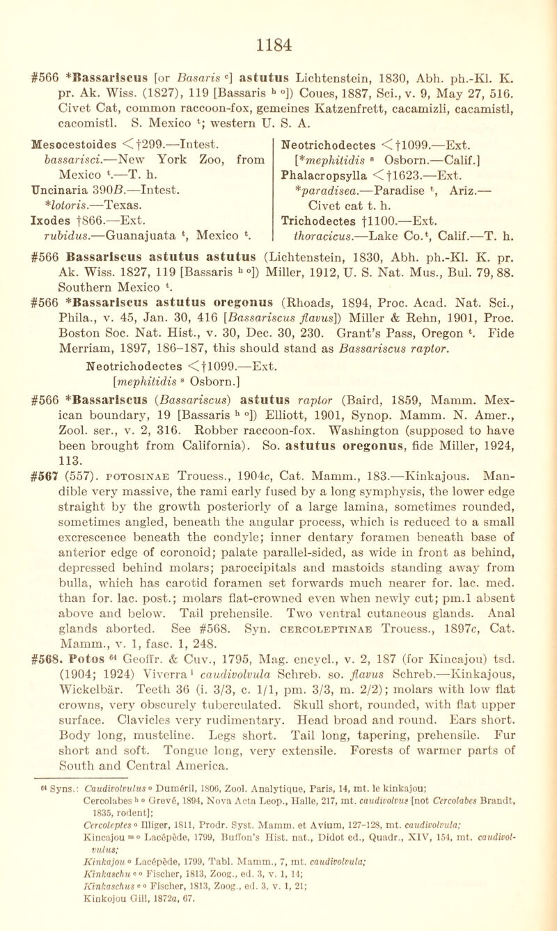#566 *Bassariscus [or Basaris c] astutus Lichtenstein, 1830, Abh. ph.-Kl. K. pr. Ak. Wiss. (1827), 119 [Bassaris b ]) Coues, 1887, Sci., v. 9, May 27, 516. Civet Cat, common raccoon-fox, gemeines Katzenfrett, cacamizli, cacamistl, cacomistl. S. Mexico *; western U Mesocestoides <Cf299.—Intest. bassarisci.—New York Zoo, from Mexico *.—T. h. Uncinaria 390ZL—Intest. Hotoris.—Texas. Ixodes fS66.—Ext. rubidus.—Guanajuata *, Mexico *. S. A. Neotrichodectes <tl099.—Ext. [*mephitidis 8 Osborn.—Calif.] Phalacropsylla <11623.—Ext. *paradisea.—Paradise *, Ariz.— Civet cat t. h. Trichodectes fllOO.—Ext. thoracicus.—Lake CoA, Calif.—T. h. #566 Bassariscus astutus astutus (Lichtenstein, 1830, Abh. ph.-Kl. K. pr. Ak. Wiss. 1827, 119 [Bassaris b °]) Miller, 1912, U. S. Nat. Mus., Bui. 79,88. Southern Mexico b #566 ^Bassariscus astutus oregonus (Rhoads, 1S94, Proc. Acad. Nat. Sci., Phila., v. 45, Jan. 30, 416 [Bassariscus flavus]) Miller & Rehn, 1901, Proc. Boston Soc. Nat. Hist., v. 30, Dec. 30, 230. Grant’s Pass, Oregon *. Fide Merriam, 1897, 186-187, this should stand as Bassariscus raptor. Neotrichodectes <C 11099.—- Ext. [mephitidis 8 Osborn.] #566 *Bassariscus (Bassariscus) astutus raptor (Baird, 1859, Mamm. Mex- ican boundary, 19 [Bassaris h °]) Elliott, 1901, Synop. Mamm. N. Amer., Zool. ser., v. 2, 316. Robber raccoon-fox. Washington (supposed to have been brought from California). So. astutus oregonus, fide Miller, 1924, 113. #567 (557). potosinae Trouess., 1904c, Cat. Mamm., 183.—Kinkajous. Man- dible very massive, the rami early fused by a long symphysis, the lower edge straight by the growth posteriorly of a large lamina, sometimes rounded, sometimes angled, beneath the angular process, which is reduced to a small excrescence beneath the condyle; inner dentary foramen beneath base of anterior edge of coronoid; palate parallel-sided, as wide in front as behind, depressed behind molars; paroccipitals and mastoids standing away from bulla, which has carotid foramen set forwards much nearer for. lac. med. than for. lac. post.; molars flat-crowned even when newly cut; pm.l absent above and below. Tail prehensile. Two ventral cutaneous glands. Anal glands aborted. See #568. Syn. cercoleptinae Trouess., 1897c, Cat. Mamm., v. 1, fasc. 1, 248. #568. Potos 64 Geolfr. & Cuv., 1795, Mag. encycl., v. 2, 1S7 (for Kincajou) tsd. (1904; 1924) Viverra1 caudivolvula Schreb. so. flavus Schreb.—Kinkajous, Wickelbar. Teeth 36 (i. 3/3, c. 1/1, pm. 3/3, m. 2/2); molars with low flat crowns, very obscurely tuberculated. Skull short, rounded, with fiat upper surface. Clavicles very rudimentary. Head broad and round. Ears short. Body long, musteline. Legs short. Tail long, tapering, prehensile. Fur short and soft. Tongue long, very extensile. Forests of warmer parts of South and Central America. Syns.: Caudivolvulus » Dumfiril, 1S06, Zool. Analytique, Paris, 14, mt. le kinkajou; Cercolabes h ° Grev6,1894, Nova Acta Leop., Halle, 217, mt. caudivolvus [not Cercolabes Brandt, 1835, rodent]; Cercoleples° Uliger, 1811, Prodr. Syst. Mamm. et Avium, 127-128, mt. caudivolvula; Kincajou m0 Lacfipede, 1799, Button's Hist, nat., Didot ed., Quadr., XIV, 154, mt. caudivol- vulus; Kinkajou0 Lacfipede, 1799, Tabl. Mamm., 7, mt. caudivolvula; Kinkaschu«« Fischer, 1813, Zoog., ed. 3, v. 1, 14; Kinlcaschus00 Fischer, 1813, Zoog., ed. 3, v. 1, 21; Kinkojou Gill, 1872a, 67.