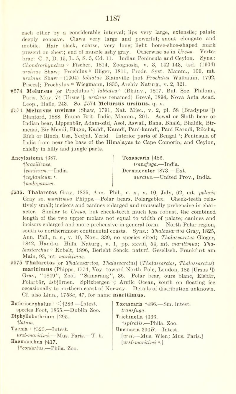 each other by a considerable interval; lips very large, extensile; palate deeply concave. Claws very large and powerful; snout elongate and mobile. Hair black, coarse, very long; light horse-shoe-shaped mark present on chest; end of muzzle ashy gray. Otherwise as in Ursus. Verte- brae: C. 7, D. 15, L. 5, S. 5, Cd. 11. Indian Peninsula and Ceylon. Syns.: Chondrorhynchus 0 Fischer, 1814, Zoognosia, v. 3, 142-143, tsd. (1904) ursinus Shaw; Prochilush llliger, 1811, Prodr. Syst. Mamm., 109, mt. ursinus Shaw=(1904) labiatus Blainville [not Prochilus Walbaum, 1792, Pisces]; Prochylus m Wiegmann, 1835, Archiv Naturg., v. 2, 321. #574 Melursus [or Prochilush] labiatus0 (Blainv., 1817, Bui. Soc. Philom., Paris, May, 74 [Ursus ')> ursinus renamed) Grev6, 1894, Nova Acta Acad. Leop., Halle, 243. So. #574 Melursus ursinus, q. v. #574 Melursus ursinus (Shaw, 1791, Nat. Misc., v. 2, pi. 58 [Bradypus ']) Blanford, 1888, Fauna Brit. India, Mamm., 201. Aswal or Sloth bear or Indian bear, Lippenbar, Adam-zJd, Asol, Aswail, Bana, Bhald, Bhaliik, Bir- menai, Bir Mendi, Elugu, Kaddi, Karadi, Pani-karadi, Pani Karudi, Riksha, Rich or Rinch, Usa, Yedjal, Yerid. Interior parts of Bengal l; Peninsula of India from near the base of the Himalayas to Cape Comorin, and Ceylon, chiefly in hilly and jungle parts. Ancylostoma |387. fbrasiliense. t caninum.-—India, fceylanicum 8. t rnalayanum. Toxascaris f486. transfuga.—India. Dermacentor f873.—Ext. auratus.—United Prov., India. #575. Thalarctos Gray, 1825, Ann. Phil., n. s., v. 10, July, 62, mt. polaris Gray so. maritimus Phipps.-—Polar bears, Polargebiet. Cheek-teeth rela- tively small; incisors and canines enlarged and unusually prehensive in char- acter. Similar to Ursus, but cheek-teeth much less robust, the combined length of the two upper molars not equal to width of palate; canines and incisors enlarged and more prehensive in general form. North Polar region, south to northernmost continental coasts. Syns.: Thalassarctos Gray, 1825, Ann. Phil., n. s., v. 10, Nov., 339, no species cited; Thalassardus Gloger, 1842, Hand-u. Hilfs. Naturg., v. 1, pp. xxviii, 54, mt. maritimus; Tha- lassiarchus ° Kobelt, 1896, Bericht Senck. naturf. Gesellsch. Frankfurt am Main, 93, mt. maritimus. #575 Thalarctos [or Thalassarctos, Thalassardus] (Thalassarctos, Thalassardus) maritimus (Phipps, 1774, Voy. toward North Pole, London, 185 [Ursus ']) Gray, “1849”, Zool. “Samarang”, 36. Polar bear, ours blanc, Eisbar, Polarbar, Isbjornen. Spitzbergen *; Arctic Ocean, south on floating ice occasionally to northern coast of Norway. Details of distribution unknown. Cf. also Linn., 1758a, 47, for name maritimus. Bothriocephalus 1 <Cf286.—Intest. species Foot, 1865.—Dublin Zoo. Diphyllobothrium |295. ]latum. Taenia r f325.—Intest. ursi-rnaritimi.-—Mus. Paris.—T. h. Haemonchus f417. t*contortus.—Phila. Zoo. Toxascaris f486.—Sm. intest. transfuga. Trichinella f366. tspiralis.-—Phila. Zoo. Uncinaria 390B.—Intest. [ursi.—Mus. Wien; Mus. Paris.] [ursi-rnaritimi °.]