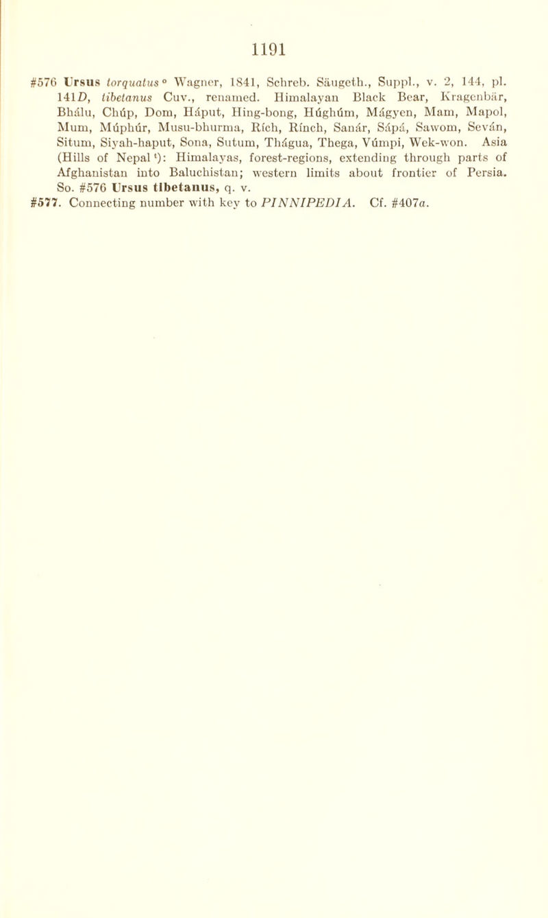 #576 Ursus torqxialus0 Wagner, 1841, Schreb. Saugeth., Suppl., v. 2, 144, pi. 141Z), tibetanus Cuv., renamed. Himalayan Black Bear, Kragenbar, Bhdlu, Chtip, Dorn, Hdput, Hing-bong, Hiighdm, Mdgycn, Mam, Mapol, Mum, Mtipkur, Musu-bhurma, Rich, Rfnch, Sandr, Sdpd, Sawom, Scvdn, Situm, Siyah-haput, Sona, Sutum, Thdgua, Thega, Vumpi, Wek-won. Asia (Hills of Nepal1): Himalayas, forest-regions, extending through parts of Afghanistan into Baluchistan; western limits about frontier of Persia. So. #57G Ursus tibetanus, q. v. #577. Connecting number with key to PINNIPEDIA. Cf. #407a.