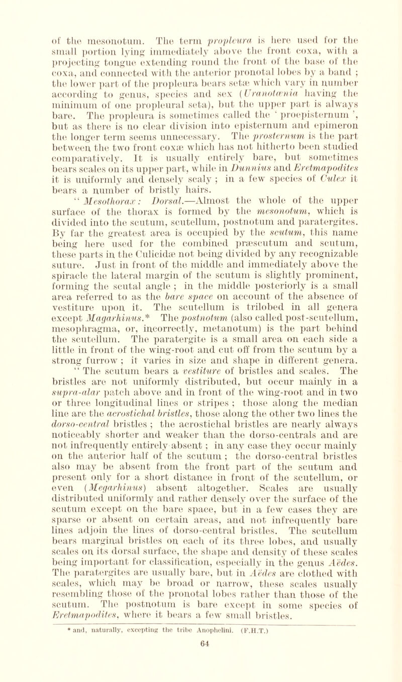 of the raesonotum. The term propleura is here used for the small portion lying immediately above the front coxa, with a projecting tongue extending round the front ol the base of the coxa, and connected with tin* anterior pronotal lobes by a band ; the lower part of the propleura bears setae which vary in number according to genus, species and sex (Uranotwnia having the minimum of one propleural seta), but the upper part is always bare. The propleura is sometimes called the ' proepisternum , but as there is no clear division into episternum and epimeron the longer term seems unnecessary. The prosternum is the part between the two front coxae which has not hitherto been studied comparatively. It is usually entirely bare, but sometimes bears scales on its upper part, while in Dunnius and Eretmapodites it is uniformly and densely scaly ; in a few species of Culex it bears a number of bristly hairs. “ Mesothorax: Dorsal.—Almost the whole of the upper surface of the thorax is formed by the mesonotum, which is divided into the scutum, scutellum, postnotum and paratergites. By far the greatest area is occupied by the scutum, this name being here used for the combined praescutum and scutum, these parts in the Culicidae not being divided by any recognizable suture. Just in front of the middle and immediately above the spiracle the lateral margin of the scutum is slightly prominent, forming the scutal angle ; in the middle posteriorly is a small area referred to as the bare space on account of the absence of vestiture upon it. The scutellum is trilobed in all genera except Magarhinus.* The postnotum (also called post-scutellum, mesophragma, or, incorrectly, metanotum) is the part behind the scutellum. The paratergite is a small area on each side a little in front of the wing-root and cut off from the scutum by a strong furrow ; it varies in size and shape in different genera. “ The scutum bears a vestiture of bristles and scales. The bristles are not uniformly distributed, but occur mainly in a supra-alar patch above and in front of the wing-root and in two or three longitudinal lines or stripes ; those along the median line are the acrostichal bristles, those along the other two lines the dorso-central bristles ; the acrostichal bristles are nearly always noticeably shorter and weaker than the dorso-centrals anil are not infrequently entirely absent; in any case they occur mainly on the anterior half of the scutum ; the dorso-central bristles also may be absent from the front part of the scutum and present only for a short distance in front of the scutellum, or even (Megarhinus) absent altogether. Scales are usually distributed uniformly and rather densely over the surface of the scutum except on the bare space, but in a few cases they are sparse or absent on certain areas, and not infrequently bare lines adjoin the lines of dorso-central bristles. The scutellum bears marginal bristles on each of its three lobes, and usually scales on its dorsal surface, the shape and density of these scales being important for classification, especially in the genus A'edes. The paratergites are usually bare, but in A'edes are clothed with scales, which may be broad or narrow, these scales usually resembling those of the pronotal lobes rather than those of the scutum. The postnotum is bare except in some species of Eretmapodites, where it bears a few small bristles. * and, naturally, excepting the tribe Anophelini. (F.H.T.)