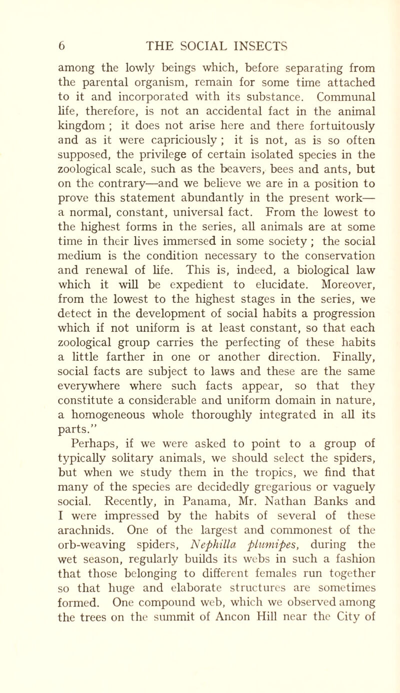 among the lowly beings which, before separating from the parental organism, remain for some time attached to it and incorporated with its substance. Communal hfe, therefore, is not an accidental fact in the animal kingdom ; it does not arise here and there fortuitously and as it were capriciously ; it is not, as is so often supposed, the privilege of certain isolated species in the zoological scale, such as the beavers, bees and ants, but on the contrary—and we beheve we are in a position to prove this statement abundantly in the present work— a normal, constant, universal fact. From the lowest to the highest forms in the series, all animals are at some time in their hves immersed in some society ; the social medium is the condition necessary to the conservation and renewal of hfe. This is, indeed, a biological law which it wiU be expedient to elucidate. Moreover, from the lowest to the highest stages in the series, we detect in the development of social habits a progression which if not uniform is at least constant, so that each zoological group carries the perfecting of these habits a little farther in one or another direction. Finally, social facts are subject to laws and these are the same everywhere where such facts appear, so that they constitute a considerable and uniform domain in nature, a homogeneous whole thoroughly integrated in aU its parts.” Perhaps, if we were asked to point to a group of typically sohtary animals, we should select the spiders, but when we study them in the tropics, we find that many of the species are decidedly gregarious or vaguely social. Recently, in Panama, Mr. Nathan Banks and I were impressed by the habits of several of these arachnids. One of the largest and commonest of the orb-weaving spiders, Nephilla pLumipes, during the wet season, regularly builds its webs in such a fashion that those belonging to different females run together so that huge and elaborate structures are sometimes formed. One compound web, which we observed among the trees on the summit of Ancon Hill near the City of