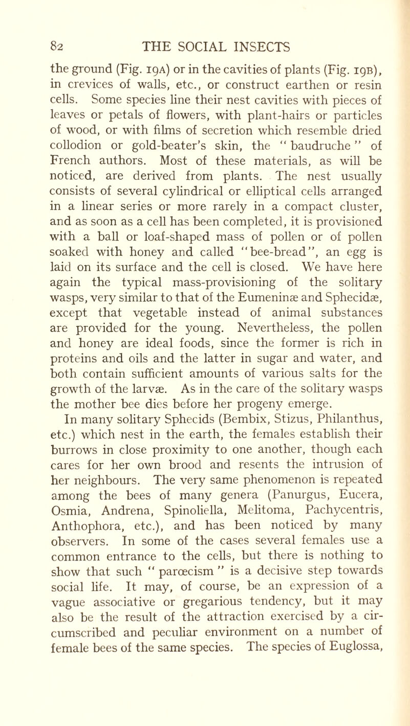 the ground (Fig. iça) or in the cavities of plants (Fig. 19B), in crevices of walls, etc., or construct earthen or resin cells. Some species line their nest cavities with pieces of leaves or petals of flowers, with plant-hairs or particles of wood, or with fihns of secretion which resemble dried collodion or gold-beater’s skin, the “ baudruche ” of French authors. Most of these materials, as will be noticed, are derived from plants. The nest usually consists of several cylindrical or elliptical cells arranged in a linear series or more rarely in a compact cluster, and as soon as a cell has been completed, it is provisioned with a ball or loaf-shaped mass of pollen or of poUen soaked with honey and called “bee-bread”, an egg is laid on its surface and the cell is closed. We have here again the typical mass-provisioning of the solitary wasps, very similar to that of the Eumeninæ and Sphecidæ, except that vegetable instead of animal substances are provided for the young. Nevertheless, the pollen and honey are ideal foods, since the former is rich in proteins and oils and the latter in sugar and water, and both contain sufficient amounts of various salts for the growth of the larvæ. As in the care of the solitary wasps the mother bee dies before her progeny emerge. In many solitary Sphecids (Bembix, Stizus, Philanthus, etc.) which nest in the earth, the females establish their burrows in close proximity to one another, though each cares for her own brood and resents the intrusion of her neighbours. The very same phenomenon is repeated among the bees of many genera (Panurgus, Eucera, Osmia, Andrena, Spinoliella, Melitoma, Pachycentris, Anthophora, etc.), and has been noticed by many observers. In some of the cases several females use a common entrance to the cells, but there is nothing to show that such “ parœcism ” is a decisive step towards social life. It may, of course, be an expression of a vague associative or gregarious tendency, but it may also be the result of the attraction exercised by a cir¬ cumscribed and pecuhar environment on a number of female bees of the same species. The species of Euglossa,