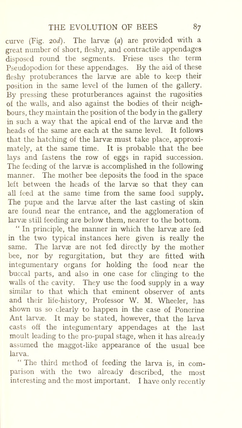 curve (Fig. 2od). The larvae (a) are provided with a great number of short, fleshy, and contractile appendages disposed round the segments. Friese uses the term Pseudopodion for these appendages. By the aid of these fleshy protuberances the larvae are able to keep their position in the same level of the lumen of the gallery. By pressing these proturberances against the rugosities of the walls, and also against the bodies of their neigh¬ bours, they maintain the position of the body in the gallery in such a way that the apical end of the larvae and the heads of the same are each at the same level. It follows that the hatching of the larvae must take place, approxi¬ mately, at the same time. It is probable that the bee lays and fastens the row of eggs in rapid succession. The feeding of the larvae is accomphshed in the following manner. The mother bee deposits the food in the space left between the heads of the larvae so that they can all feed at the same time from the same food supply. The pupae and the larvae after the last casting of skin are found near the entrance, and the agglomeration of larvae still feeding are below them, nearer to the bottom. “ In principle, the manner in which the larvae are fed in the two typical instances here given is really the same. The larvae are not fed directly by the mother bee, nor by regurgitation, but they are fitted with integumentary organs for holding the food near the buccal parts, and also in one case for chnging to the walls of the cavity. They use the food supply in a way similar to that which that eminent observer of ants and their fife-history. Professor W. M. Wheeler, has showm us so clearly to happen in the case of Ponerine Ant larvae. It may be stated, however, that the larva casts off the integumentary appendages at the last moult leading to the pro-pupal stage, when it has already assumed the maggot-like appearance of the usual bee larva. “ The third method of feeding the larva is, in com¬ parison with the two already described, the most interesting and the most important. I have only recently