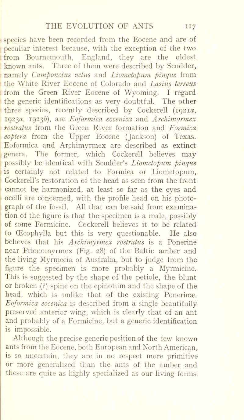 species have been recorded from the Eocene and are of ; peculiar interest because, with the exception of the two I from Bournemouth, England, they are the oldest known ants. Three of them were described by Scudder, 1 namely Camponotus veins and Liometopum pinque from I the White River Eocene of Colorado and Lasiiis terreus from the Green River Eocene of Wyoming. I regard the generic identifications as very doubtful. The other three species, recently described by Cockerell (192la, 1923a, 1923&), are Eoformica eocenica and Archimyrmex rostmtus from the Green River formation and Formica eoptera from the Upper Eocene (Jackson) of Texas. Eoformica and Archimyrmex are described as extinct genera. The former, which Cockerell believes may possibly be identical with Scudder’s Liometopum pinque is certainly not related to Formica or Liometopum, Cockerell’s restoration of the head as seen from the front cannot be harmonized, at least so far as the eyes and ocelli are concerned, with the profile head on his photo¬ graph of the fossil. All that can be said from examina¬ tion of the figure is that the specimen is a male, possibly of some Formicine. Cockerell believes it to be related to Œcophylla but this is very questionable. He also believes that his Archimyrmex rostratus is a Ponerine near Prionomvrmex (Fig. 28) of the Baltic amber and the living Myrmecia of Australia, but to judge from the figure the specimen is more probably a Myrmicine. This is suggested by the shape of the petiole, the blunt or broken (.^) spine on the epinotum and the shape of the head, which is unlike that of the existing Ponerinae. Eoformica eocenica is described from a single beautifully preserved anterior wing, which is clearly that of an ant and probably of a Formicine, but a generic identification is impossible. Although the precise generic position of the few known ants from the Eocene, both European and North American, is so uncertain, they are in no respect more primitive or more generalized than the ants of the amber and these are quite as highly specialized as our living forms.