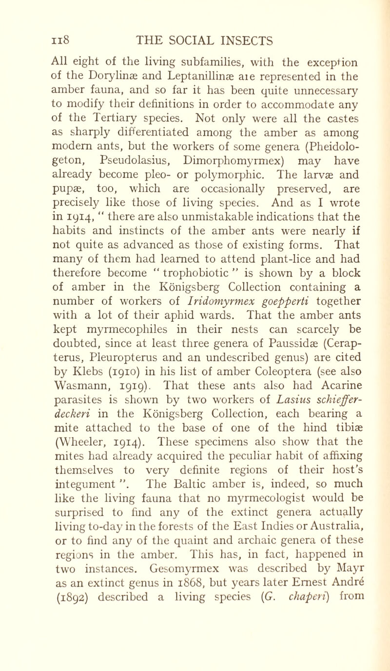 All eight of the living subfamilies, with the exception of the Dorylinæ and Leptanillinæ aie represented in the amber fauna, and so far it has been quite unnecessary to modify their definitions in order to accommodate any of the Tertiary species. Not only were all the castes as sharply differentiated among the amber as among modem ants, but the workers of some genera (Pheidolo- geton, Pseudolasius, Dimorphomyrmex) may have already become pleo- or polymorphic. The larvæ and pupae, too, which are occasionally preserved, are precisely like those of living species. And as I wrote in 1914, “ there are also unmistakable indications that the habits and instincts of the amber ants were nearly if not quite as advanced as those of existing forms. That many of them had learned to attend plant-lice and had therefore become “ trophobiotic ” is shown by a block of amber in the Konigsberg Collection containing a number of workers of Iridomyrmex goepperti together with a lot of their aphid wards. That the amber ants kept myrmecophiles in their nests can scarcely be doubted, since at least three genera of Paussidas (Cerap- terus, Pleuropterus and an undescribed genus) are cited by Klebs (1910) in his list of amber Coleoptera (see also Wasmann, 1919). That these ants also had Acarine parasites is shown by two workers of Lasius schieffer- deckeri in the Konigsberg Collection, each bearing a mite attached to the base of one of the hind tibiae (Wheeler, 1914). These specimens also show that the mites had already acquired the peculiar habit of affixing themselves to very definite regions of their host's integument ”. The Baltic amber is, indeed, so much like the living fauna that no myrmecologist would be surprised to find any of the extinct genera actually living to-day in the forests of the East Indies or Australia, or to find any of the quaint and archaic genera of these regions in the amber. This has, in fact, happened in two instances. Gesomyrmex was described by Mayr as an extinct genus in 1868, but years later Ernest André (1892) described a living species [G. chaperi) from