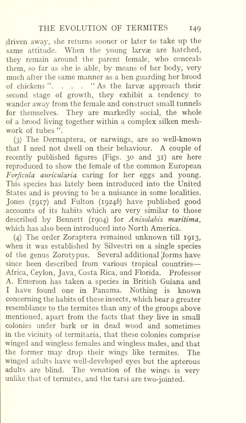 driven awa}', she returns sooner or later to take up the same attitude. When the young larvæ are hatched, they remain around the parent female, who conceals them, so far as she is able, by means of her body, very much after the same manner as a hen guarding her brood of chickens . . . “As the larvae approach their second stage of growth, they exhibit a tendency to wander away from the female and construct small tunnels for themselves. They are markedly social, the whole of a brood living together within a complex silken mesh- work of tubes ”. (3) The Dermaptera, or earwings, are so weU-known that I need not dwell on their behaviour. A couple of recently published figures (Figs. 30 and 31) are here reproduced to show the female of the common European Forficula auricularia caring for her eggs and young. This species has lately been introduced into the United States and is proving to be a nuisance in some localities. Jones (1917) and Fulton (19246) have published good accounts of its habits which are very similar to those described by Bennett (1904) for Anisolahis maritima, which has also been introduced into North America. (4) The order Zoraptera remained unknown till 1913, when it was estabhshed by Silvestri on a single species of the genus Zorotypus. Several additional [forms have since been described from various tropical countries— Africa, Ceylon, Java, Costa Rica, and Florida. Professor A. Emerson has taken a species in British Guiana and I have found one in Panama. Nothing is known concerning the habits of these insects, which bear a greater resemblance to the termites than any of the groups above mentioned, apart from the facts that they live in small colonies under bark or in dead wood and sometimes in the vicinity of termitaria, that these colonies comprise winged and wingless females and wingless males, and that the former may drop their wings like termites. The winged adults have well-developed eyes but the apterous adults are bhnd. The venation of the wings is very unhke that of termites, and the tarsi are two-jointed.