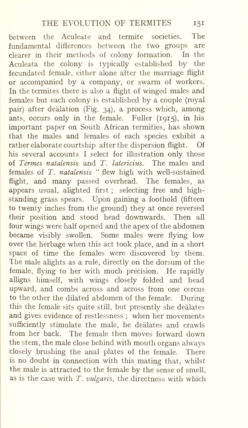 between the Aculeate and termite societies. The fundamental differences between the two groups are clearer in their methods of colony formation. In the Aculeata the colony is typically established by the fecundated female, either alone after the marriage flight or accompanied by a company, or swarm of workers. In the termites there is also a flight of winged males and females but each colony is established by a couple (royal pair) after dealation (Fig. 34), a process which, among ants, occurs only in the female. Fuller (1915), in his important paper on South African termities, has shown that the males and females of each species exhibit a rather elaborate courtship after the dispersion flight. Of his several accounts I select for illustration only those of Termes natalensis and T. latericius. The males and females of T. natalensis “ flew high with well-sustained flight, and many passed overhead. The females, as appears usual, alighted first ; selecting free and high- standing grass spears. Upon gaining a foothold (fifteen to twenty inches from the ground) they at once reversed their position and stood head downwards. Then all four wings were half opened and the apex of the abdomen became visibly swoUen. Some males were flying low over the herbage when this act took place, and in a short space of time the females were discovered by them. The male ahghts as a rule, directly on the dorsum of the female, flying to her with much precision. He rapidly alligns himself, with wings closely folded and head upward, and combs across and across from one cercus to the other the dilated abdomen of the female. During this the female sits quite still, but presently she dealates and gives evidence of restlessness ; when her movements sufficiently stimulate the male, he dealates and crawls from her back. The female then moves forward down the stem, the male close behind with mouth organs always closely brushing the anal plates of the female. There is no doubt in connection with this mating that, whilst the male is attracted to the female by the sense of smell, as is the case with T. vulgaris, the directness with which