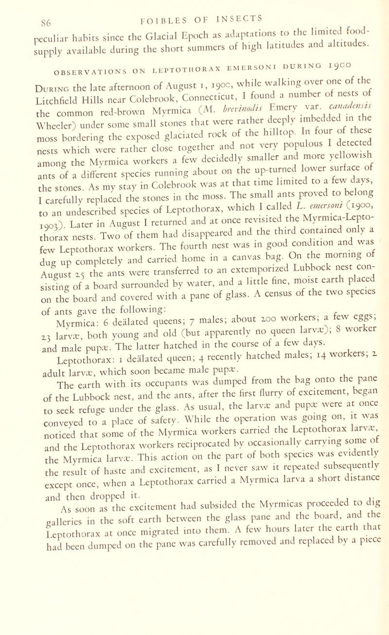 peculiar habits since the Glacial Epoch as adaptations to the limited food- supply available during the short summers of high latitudes and altitudes. OBSERVATIONS ON leptothorax emersoni during 19CO During the late afternoon of August 1, 1900, while walking over one of the Litchfield Hills near Colebrook, Connecticut, I found a number of nes s the common red-brown Myrmica (M. bnrinodis Emery var. rWtytr Wheeler) under some small stones that were rather rep Y 11 moss bordering the exposed glaciated rock of the hilltop. In four of these nests which were rather close together and not very populous detec among the Myrmica workers a few decidedly smaller and more yellowtsh ants of a different species running about on the up-turned lower surface of the stones. As my stay in Colebrook was at that time limited to a few^days I carefully replaced the stones in the moss. The small ants proved to be g to an undescribed species of Leptothorax, which 1 called L. emersom (1900, joo,). Later in August I returned and at once revisited the Myrmica-Lepto- thorax nests. Two of them had disappeared and the third contained only a few Leptothorax workers. The fourth nest was in good condition and was dug up completely and carried home in a canvas bag. On the morning of August 15 the ants were transferred to an extemporized Lubbock nest con¬ sisting of a board surrounded by water, and a little fine, moist earth placed on the board and covered with a pane of glass. A census of the two species of ants gave the following: Myrmica: 6 dealated queens; 7 males; about too workers; a few egg-, r larvte, both young and old (but apparently no queen larvae); S worker and male pupae. The latter hatched in the course of a few days. Leptothorax: 1 dealated queen; 4 recently hatched males; 14 workers, 2. adult larvae, which soon became male pupae. The earth with its occupants was dumped from the bag onto the pane of the Lubbock nest, and the ants, after the first flurry of excitement, began to seek refuge under the glass. As usual, the larvae and pupae were at once conveyed to a place of safety. While the operation was going on, it was noticed that some of the Myrmica workers carried the Leptothorax larvae and the Leptothorax workers reciprocated by occasionally carrying some o the Myrmica larvm. This action on the part of both species was evident y the result of haste and excitement, as I never saw it repeated subsequent \ except once, when a Leptothorax carried a Myrmica larva a short distance and then dropped it. ,. As soon as the excitement had subsided the Mvrmicas proceeded to dig galleries in the soft earth between the glass pane and the board, and the Leptothorax at once migrated into them. A few hours later the earth that had been dumped on the pane was carefully removed and replaced by a piece