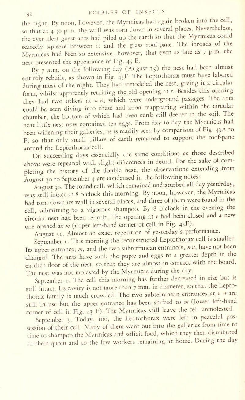 the night. By noon, however, the Myrmicas had again broken into the cell, so that at 4:30 p.m. the wall was torn down in several places. Nevertheless, the ever alert guest ants had piled up the earth so that the Myrmicas could scarcely squeeze between it and the glass roof-pane. The inroads of the Myrmicas had been so extensive, however, that even as late as 7 p.m. the nest presented the appearance of Fig. 43 E. By 7 a.m. on the following day (August 2.9) the nest had been almost entirely rebuilt, as shown in Fig. 43F. The Leptothorax must have labored during most of the night. They had remodeled the nest, giving it a circular form, whilst apparently retaining the old opening at r. Besides this opening they’had two others at n n, which were underground passages. The ants could be seen diving into these and anon reappearing within the circular chamber, the bottom of which had been sunk still deeper in the soil. The neat little nest now contained ten eggs. From day to day the Myrmicas had been widening their galleries, as is readily seen by comparison of Fig. 43A to F, so that only small pillars of earth remained to support the roof-pane around the Leptothorax cell. On succeeding days essentially the same conditions as those described above were repeated with slight differences in detail. For the sake of com¬ pleting the history of the double nest, the observations extending from August 30 to September 4 are condensed in the following notes: August 30. The round cell, which remained undisturbed all day yesterday, was still intact at 8 o’clock this morning. By noon, however, the Myrmicas had torn down its wall in several places, and three of them were found in the cell, submitting to a vigorous shampoo. By 8 o’clock in the evening the circular nest had been rebuilt. The opening at r had been closed and a new one opened at m (upper left-hand corner of cell in Fig. 43F). August 31. Almost an exact repetition of yesterday’s performance. September 1. This morning the reconstructed Leptothorax cell is smaller. Its upper entrance, tn, and the two subterranean entrances, n >1, have not been changed. The ants have sunk the pupa: and eggs to a greater depth in the earthen floor of the nest, so that they are almost in contact with the board. The nest was not molested by the Myrmicas during the day. September 1. The cell this morning has further decreased in size but is still intact. Its cavity is not more than 7 mm. in diameter, so that the Lepto¬ thorax family is much crowded. The two subterranean entrances at n n are still in use but the upper entrance has been shifted to m (lower left-hand corner of cell in Fig. 43 F). The Myrmicas still leave the cell unmolested. September 3. Today, too, the Leptothorax were left in peaceful pos¬ session of their cell. Many of them went out into the galleries from time to time to shampoo the Myrmicas and solicit food, which they then distributed to their queen and to the few workers remaining at home. During the day