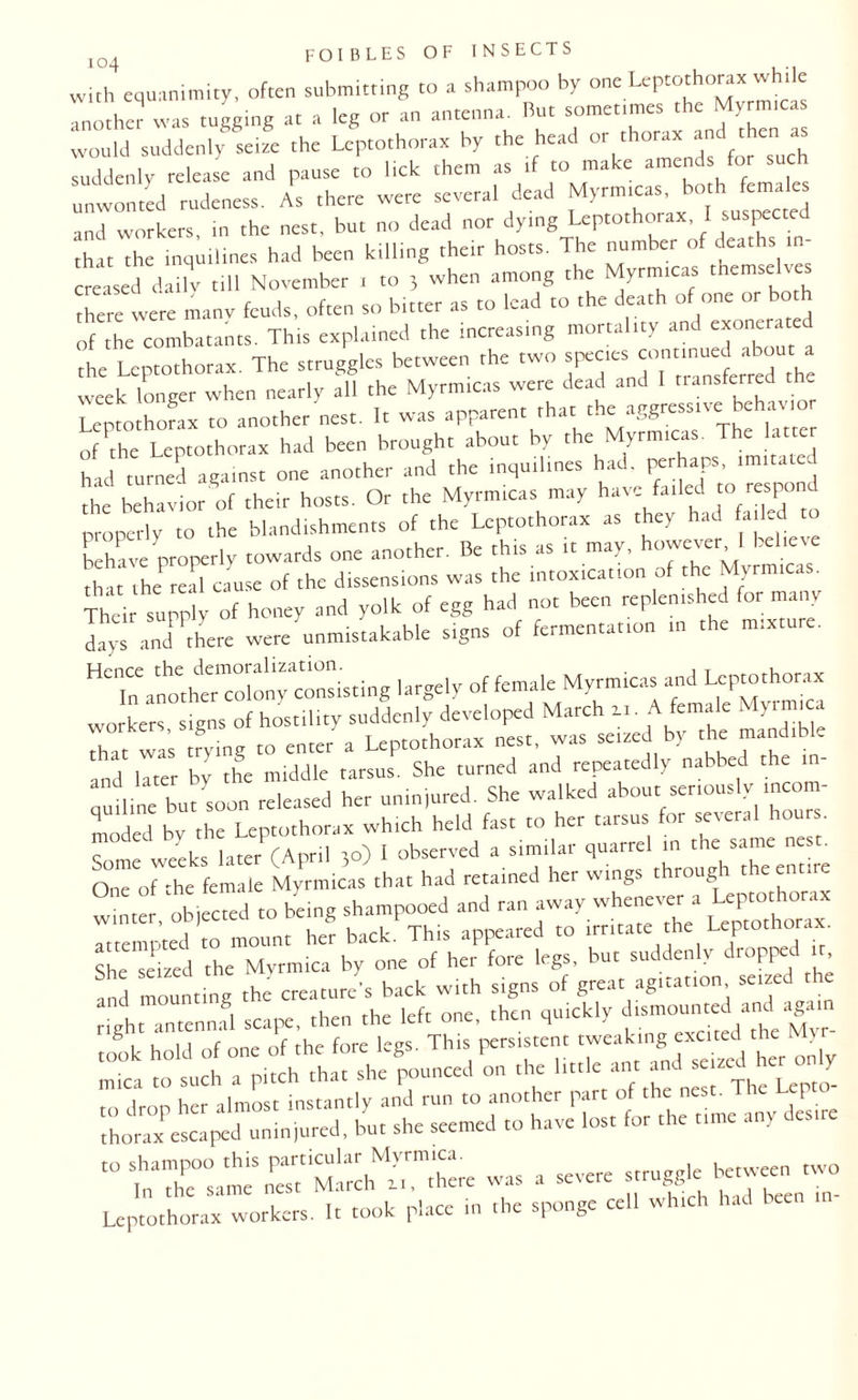 with equanimity, often submitting to a shampoo by one Leptothorax while would suddenly seize the Leptothorax by the head or thorax *d *en “ suddenly release and pause to lick them as tf to make amend fc-ch unwonted rudeness. As there were several dead Myrm.cas, both fema and workers, in the nest, but no dead nor dying Leptothorax, I sus ccted hat the inquilines had been killing them hosts. The number of deaths in¬ therewere manv feuds, often so bitter as to lead to the death of one or both of ,he combatants. This explained the increasing mortality and exonerated the Leptothorax. The struggles between the two week longer when nearly all the Myrmicas were dead and I transferred Leptothorax to another nest. It was apparent that the aggressive behavior of the Leptothorax had been brought about by the Myrmicas. The latter had turned against one another and the inqu,lines had. ^rhaps, imitated the behavior of their hosts. Or the Myrmicas may have failed to respond properly to the blandishments of the Leptothorax as they had failed to Shave properly towards one another. Be this as it may, however 1 believe thii the real cause of the dissensions was the intoxication of the Myrmicas. Their supply of honey and yolk of egg had not been replenished for many days and there were unmistakable signs of fermentation in the mixture. HTa^^“isting largely of female Myrmicas and Leptothorax wo ker igns of hostility suddenly develop March zi. A female Myrm, a That wal trying to enter a Leptothorax nest, was seized by the mandible and liter bv the middle tarsus. She turned and repeatedly nabbed the tn- auiline but soon released her uninjured. She walked about senouslv incom¬ moded by the Leptothorax which held fast to her tarsus for several hours c p'eU l iter (April 10) I observed a similar quarrel in the same nest. OnToOhe female Myrmicas that had rerained her wings through the entire w nte obi cted to being shampooed and ran away whenever a Leptothorax winter, oDjecte 6 t appeared to irritate the Leptothorax. ShIXd If before iegs. but sudden,v dropped it a'd mounting the creature’s back with signs of great agitation seized he righlantennal scape, then the left one, then quickly dtsmounted and a was a severe struggle between rtvo Leptothorax workers. It took place in the sponge cell which had