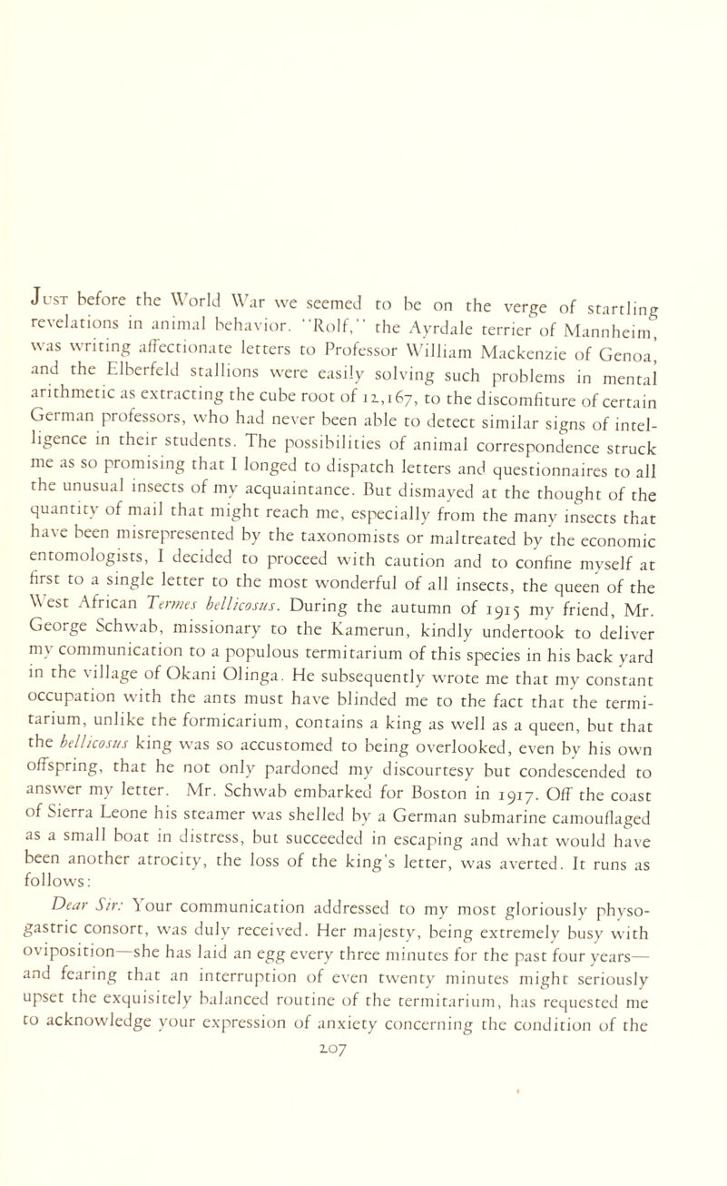 Just before the World War we seemed to be on the verge of startling revelations in animal behavior. ■•Rolf, the Ayrdale terrier of Mannheim, was writing affectionate letters to Professor William Mackenzie of Genoa, and the Elberfeld stallions were easily solving such problems in mental arithmetic as extracting the cube root of 11,167, to the discomfiture of certain German professors, who had never been able to detect similar signs of intel¬ ligence in their students. The possibilities of animal correspondence struck me as so promising that I longed to dispatch letters and questionnaires to all the unusual insects of my acquaintance. But dismayed at the thought of the quantity of mail that might reach me, especially from the many insects that ha\e been misrepresented by the taxonomists or maltreated by the economic entomologists, I decided to proceed with caution and to confine myself at first to a single letter to the most wonderful of all insects, the queen of the West African Terms bellicosus. During the autumn of 1915 my friend, Mr. George Schwab, missionary to the Kamerun, kindly undertook to deliver my communication to a populous termitarium of this species in his back yard in the village of Okani Olinga. He subsequently wrote me that my constant occupation with the ants must have blinded me to the fact that the termi¬ tarium, unlike the foimicanum, contains a king as well as a queen, but that the bellicosus king was so accustomed to being overlooked, even by his own offspring, that he not only pardoned my discourtesy but condescended to answer my letter. Mr. Schwab embarked for Boston in 1917. Off the coast of Sierra Leone his steamer was shelled by a German submarine camouflaged as a small boat in distress, but succeeded in escaping and what would have been another atrocity, the loss of the king’s letter, was averted. It runs as follows: Dear Sir: \ our communication addressed to my most gloriously physo- gastric consort, was duly received. Her majesty, being extremely busy with oviposition—she has laid an egg every three minutes for the past four years— and fearing that an interruption of even twenty minutes might seriously upset the exquisitely balanced routine of the termitarium, has requested me to acknowledge your expression of anxiety concerning the condition of the