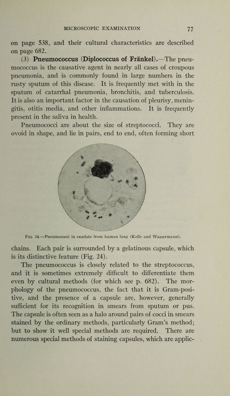 on page 538, and their cultural characteristics are described on page 682. (3) Pneumococcus (Diplococcus of Frankel).—The pneu- mococcus is the causative agent in nearly all cases of croupous pneumonia, and is commonly found in large numbers in the rusty sputum of this disease. It is frequently met with in the sputum of catarrhal pneumonia, bronchitis, and tuberculosis. It is also an important factor in the causation of pleurisy, menin- gitis, otitis media, and other inflammations. It is frequently present in the saliva in health. Pneumococci are about the size of streptococci. They are ovoid in shape, and lie in pairs, end to end, often forming short Fig. 24.—Pneumococci in exudate from human lung (Kolle and Wassermann). chains. Each pair is surrounded by a gelatinous capsule, which is its distinctive feature (Fig. 24). The pneumococcus is closely related to the streptococcus, and it is sometimes extremely difficult to differentiate them even by cultural methods (for which see p. 682). The mor- phology of the pneumococcus, the fact that it is Gram-posi- tive, and the presence of a capsule are, however, generally sufficient for its recognition in smears from sputum or pus. The capsule is often seen as a halo around pairs of cocci in smears stained by the ordinary methods, particularly Gram’s method; but to show it well special methods are required. There are numerous special methods of staining capsules, which are applic-