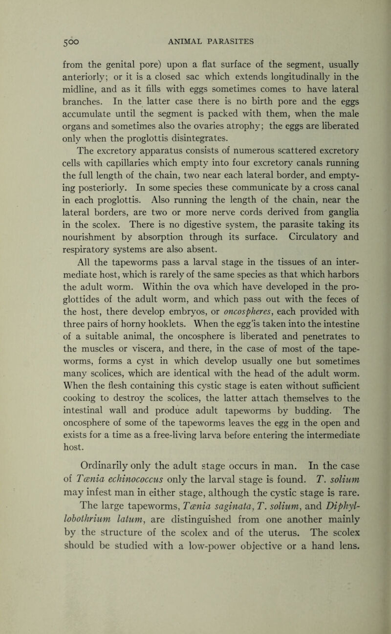 5°° from the genital pore) upon a flat surface of the segment, usually anteriorly; or it is a closed sac which extends longitudinally in the midline, and as it fills with eggs sometimes comes to have lateral branches. In the latter case there is no birth pore and the eggs accumulate until the segment is packed with them, when the male organs and sometimes also the ovaries atrophy; the eggs are liberated only when the proglottis disintegrates. The excretory apparatus consists of numerous scattered excretory cells with capillaries which empty into four excretory canals running the full length of the chain, two near each lateral border, and empty- ing posteriorly. In some species these communicate by a cross canal in each proglottis. Also running the length of the chain, near the lateral borders, are two or more nerve cords derived from ganglia in the scolex. There is no digestive system, the parasite taking its nourishment by absorption through its surface. Circulatory and respiratory systems are also absent. All the tapeworms pass a larval stage in the tissues of an inter- mediate host, which is rarely of the same species as that which harbors the adult worm. Within the ova which have developed in the pro- glottides of the adult worm, and which pass out with the feces of the host, there develop embryos, or oncospheres, each provided with three pairs of horny hooklets. When the egg'is taken into the intestine of a suitable animal, the oncosphere is liberated and penetrates to the muscles or viscera, and there, in the case of most of the tape- worms, forms a cyst in which develop usually one but sometimes many scolices, which are identical with the head of the adult worm. When the flesh containing this cystic stage is eaten without sufficient cooking to destroy the scolices, the latter attach themselves to the intestinal wall and produce adult tapeworms by budding. The oncosphere of some of the tapeworms leaves the egg in the open and exists for a time as a free-living larva before entering the intermediate host. Ordinarily only the adult stage occurs in man. In the case of Tcenia echinococcus only the larval stage is found. T. solium may infest man in either stage, although the cystic stage is rare. The large tapeworms, Taenia saginata, T. solium, and Diphyl- lobothrium latum, are distinguished from one another mainly by the structure of the scolex and of the uterus. The scolex should be studied with a low-power objective or a hand lens.