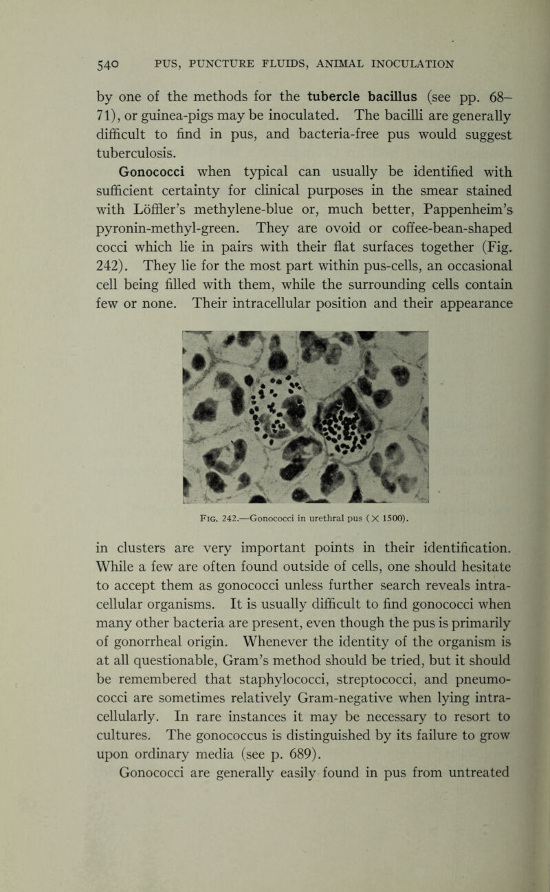 by one of the methods for the tubercle bacillus (see pp. 68- 71), or guinea-pigs may be inoculated. The bacilli are generally difficult to find in pus, and bacteria-free pus would suggest tuberculosis. Gonococci when typical can usually be identified with sufficient certainty for clinical purposes in the smear stained with Loffler’s methylene-blue or, much better, Pappenheim’s pyronin-methyl-green. They are ovoid or coffee-bean-shaped cocci which lie in pairs with their flat surfaces together (Fig. 242). They lie for the most part within pus-cells, an occasional cell being filled with them, while the surrounding cells contain few or none. Their intracellular position and their appearance Fig. 242.—Gonococci in urethral pus (X 1500). in clusters are very important points in their identification. While a few are often found outside of cells, one should hesitate to accept them as gonococci unless further search reveals intra- cellular organisms. It is usually difficult to find gonococci when many other bacteria are present, even though the pus is primarily of gonorrheal origin. Whenever the identity of the organism is at all questionable, Gram’s method should be tried, but it should be remembered that staphylococci, streptococci, and pneumo- cocci are sometimes relatively Gram-negative when lying intra- cellularly. In rare instances it may be necessary to resort to cultures. The gonococcus is distinguished by its failure to grow upon ordinary media (see p. 689). Gonococci are generally easily found in pus from untreated