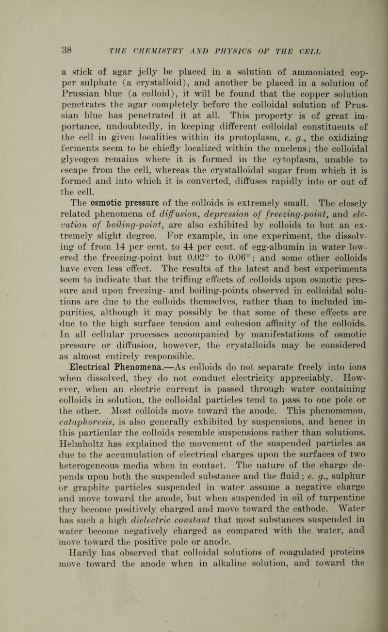 a stick of agar jelly be placed in a solution of ammoniated cop- per sulphate (a crystalloid), and another be placed in a solution of Prussian blue (a colloid), it will be found that the copper solution penetrates the agar completely before the colloidal solution of Prus- sian blue has penetrated it at all. This property is of great im- portance, undoubtedly, in keeping different colloidal constituents of the cell in given localities within its protoplasm, e. g., the oxidizing ferments seem to be chiefly localized within the nucleus; the colloidal glycogen remains where it is formed in the cytoplasm, unable to escape from the cell, whereas the crystalloidal sugar from which it is formed and into which it is converted, diffuses rapidly into or out of the cell. The osmotic pressure of the colloids is extremely small. The closely related phenomena of diffusion, depression of freezing-point, and ele- vation of boiling-point, are also exhibited by colloids to but an ex- tremely slight degree. For example, in one experiment, the dissolv- ing of from 14 per cent, to 44 per cent, of egg-albumin in water low- ered the freezing-point but 0.02° to 0.06° ; and some other colloids have even less effect. The results of the latest and best experiments seem to indicate that the trifling effects of colloids upon osmotic pres- sure and upon freezing- and boiling-points observed in colloidal solu- tions are due to the colloids themselves, rather than to included im- purities, although it may possibly be that some of these effects are due to the high surface tension and cohesion affinity of the colloids. In all cellular processes accompanied by manifestations of osmotic pressure or diffusion, however, the crystalloids may be considered as almost entirely responsible. Electrical Phenomena.—As colloids do not separate freely into ions when dissolved, they do not conduct electricity appreciably. How- ever, when an electric current is passed through water containing colloids in solution, the colloidal particles tend to pass to one pole or the other. Most colloids move toward the anode. This phenomenon, cataphoresis, is also generally exhibited by suspensions, and hence in this particular the colloids resemble suspensions rather than solutions. Helmholtz has explained the movement of the suspended particles as due to the accumulation of electrical charges upon the surfaces of two heterogeneous media when in contact. The nature of the charge de- pends upon both the suspended substance and the fluid; e. g., sulphur or graphite particles suspended in water assume a negative charge and move toward the anode, but when suspended in oil of turpentine they become positively charged and move toward the cathode. Water has such a high dielectric constant that most substances suspended in water become negatively charged as compared with the water, and move toward the positive pole or anode. Hardy has observed that colloidal solutions of coagulated proteins move toward the anode when in alkaline solution, and toward the