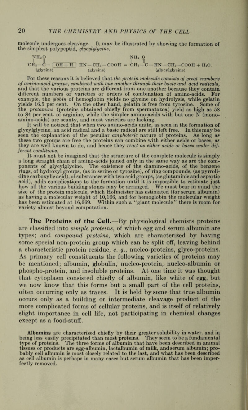 molecule undergoes cleavage. It may be illustrated by showing the formation of the simplest polypeptid, glycylglycine. | OH + Hi HN —CH2 —COOH = CH2 —C —HN —CH2—COOH + H20. (glycine) (glycine) (glycylglycine) For these reasons it is believed that the protein molecule consists of great numbers of amino-acid groups, combined with one another through their basic and acid radicals, and that the various proteins are different from one another because they contain different numbers or varieties or orders of combination of amino-acids. For example, the globin of hemoglobin yields no glycine on hydrolysis, while gelatin yields 10.5 per cent. On the other hand, gelatin is free from tyrosine. Some of the protamins (proteins obtained chiefly from spermatozoa) yield as high as 58 to 84 per cent, of arginine, while the simpler amino-acids with but one N (mono- amino-acids) are scanty, and most varieties are lacking. It will be noticed that when two amino-acids unite, as seen in the formation of glycylglycine, an acid radical and a basic radical are still left free. In this may be seen the explanation of the peculiar amphoteric nature of proteins. As long a? these two groups are free the proteins can combine with either acids or bases, as they are well known to do, and hence they react as either acids or bases under dif- ferent conditions. It must not be imagined that the structure of the complete molecule is simply a long straight chain of amino-acids joined only in the same way as are the com- ponents of glycylglycine. The existence of the diamino-acids, of the benzene rings, of hydroxyl groups, (as in serine or tyrosine), of ring compounds, (as pyrroli- dine carboxylic acid), of substances with two acid groups, (as glutaminic and aspartic acid), adds complications to the formation until it is impossible to estimate just how all the various building stones may be arranged. We must bear in mind the size of the protein molecule, which Hofmeister has estimated (for serum albumin) as having a molecular weight of 10,166, and for hemoglobin the molecular weight has been estimated at 16,669. Within such a “giant molecule” there is room for variety almost beyond computation. The Proteins of the Cell.—By physiological chemists proteins are classified into simple proteins, of which egg and serum albumin are types; and compound proteins, which are characterized by having some special non-protein group which can be split off, leaving behind a characteristic protein residue, e. g., nucleo-proteins, glyco-proteins. As primary cell constituents the following varieties of proteins may be mentioned; albumin, globulin, nucleo-protein, nucleo-albumin or phospho-protein, and insoluble proteins. At one time it was thought that cytoplasm consisted chiefly of albumin, like white of egg, but we now know that this forms but a small part of the cell proteins, often occurring only as traces. It is held by some that true albumin occurs only as a building or intermediate cleavage product of the more complicated forms of cellular proteins, and is itself of relatively slight importance in cell life, not participating in chemical changes except as a food-stuff. Albumins are characterized chiefly by their greater solubility in water, and in being less easily precipitated than most proteins. They seem to be a fundamental type of proteins. The three forms of albumin that have been described in animal tissues or products are egg-albumin, lactalbumin of milk, and serum albumin; pro- bably cell albumin is most closely related to the last, and what has been described as cell albumin is perhaps in many cases but serum albumin that has been imper- fectly removed.