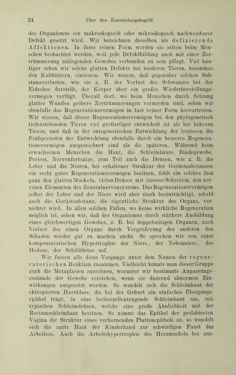 des Organismus ein makroskopisch oder mikroskopisch nachweisbarer Defekt gesetzt wird. Wir bezeichnen dieselben als defizierende Affektionen. In ihrer reinen Form werden sie selten beim Men¬ schen beobachtet werden, weil jede Defektbildung auch mit einer Zer¬ trümmerung anliegenden Gewebes verbunden zu sein pflegt. Viel häu¬ figer sehen wir solche glatten Defekte bei niederen Tieren, besonders den Kaltblütern, eintreten. Wir wissen, daß gegenüber solchen Sub¬ stanzverlusten, wie sie z. B. der Verlust des Schwanzes bei der Eidechse darstellt, der Körper über ein großes Wiederherstellungs¬ vermögen verfügt. Überall dort, wo beim Menschen durch Setzung glatter Wunden gröbere Zertrümmerungen vermieden sind, sehen wir ebenfalls das Regenerationsvermögen in fast reiner Form hervortreten. Wir wissen, daß dieses Regenerationsvermögen bei den phylogenetisch tief erstehenden Tieren viel großartiger entwickelt ist als bei höheren Tieren, und daß in der ontogenetischen Entwicklung der letzteren die Frühperioden der Entwicklung ebenfalls durch ein besseres Regenera¬ tionsvermögen ausgezeichnet sind als die späteren. Während beim erwachsenen Menschen die Haut, die Schleimhäute, Bindegewebe, Periost, Nervenfortsätze, zum Teil auch die Drüsen, wie z. B. die Leber und die Nieren, bei erhaltener Struktur der Gerüstsubstanzen ein recht gutes Regenerationsvermögen besitzen, fehlt ein solches fast ganz den glatten Muskeln, vielen Drüsen mit innerer Sekretion, den ner¬ vösen Elementen des Zentralnervensystems. DasRegenerationsvermögen selbst der Leber und der Niere wird aber stark beeinträchtigt, sobald auch die Gerüstsubstanz, die eigentliche Struktur des Organs, ver¬ nichtet wird. In allen solchen Fällen, wo keine wirkliche Regeneration möglich ist, sehen wir, daß der Organismus durch stärkere Ausbildung eines gleichwertigen Gewebes, z. B. bei doppelseitigen Organen, nach Verlust des einen Organs durch Vergrößerung des anderen den Schaden wieder gut zu machen sucht. So sprechen wir von einer kompensatorischen Hypertrophie der Niere, der Nebenniere, des Hodens, der Schilddrüse usf. Wir fassen alle diese Vorgänge unter dem Namen der regene¬ ratorischen Reaktion zusammen. Vielleicht könnte man dieser Gruppe auch die Metaplasien zurechnen, worunter wir bestimmte Anpassungs¬ zustände der Gewebe verstehen, wenn sie dauernd abnormen Ein¬ wirkungen ausgesetzt werden. So wandelt sich die Schleimhaut der ektropierten Harnblase, die bei der Geburt ein einfaches Übergangs¬ epithel trägt, in eine becherzellentragende Schleimhaut um, mit typischen Schleimdrüsen, welche eine große Ähnlichkeit mit der Rectumschleimhaut besitzen. So nimmt das Epithel der prolabierten Vagina die Struktur eines verhornenden Plattenepithels an, so wandelt sich die zarte Haut der Kinderhand zur schwieligen Faust des Arbeiters. Auch die Arbeitshypertrophie des Herzmuskels bei aus-