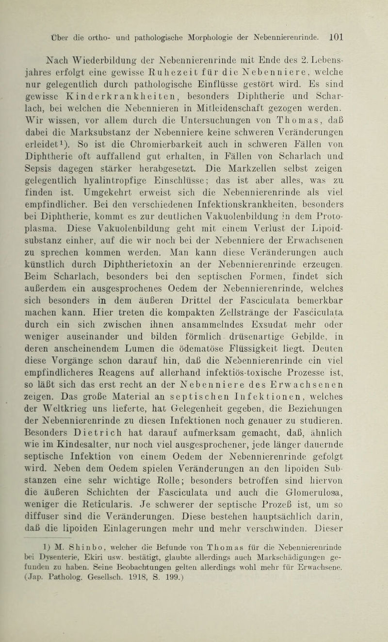 Nach Wiederbildung der Nebennierenrinde mit Ende des 2. Lebens¬ jahres erfolgt eine gewisse Ruhezeit für die Nebenniere, welche nur gelegentlich durch pathologische Einflüsse gestört wird. Es sind gewisse Kinderkrankheiten, besonders Diphtherie und Schar¬ lach, bei welchen die Nebennieren in Mitleidenschaft gezogen werden. Wir wissen, vor allem durch die Untersuchungen von Thomas, daß dabei die Marksubstanz der Nebenniere keine schweren Veränderungen erleidet1). So ist die Chromierbarkeit auch in schweren Fällen von Diphtherie oft auffallend gut erhalten, in Fällen von Scharlach und Sepsis dagegen stärker herabgesetzt. Die Markzellen selbst zeigen gelegentlich hyalintropfige Einschlüsse; das ist aber alles, was zu finden ist. Umgekehrt erweist sich die Nebennierenrinde als viel empfindlicher. Bei den verschiedenen Infektionskrankheiten, besonders bei Diphtherie, kommt es zur deutlichen Vakuolenbildung in dem Proto¬ plasma. Diese Vakuolenbildung geht mit einem Verlust der Lipoid¬ substanz einher, auf die wir noch bei der Nebenniere der Erwachsenen zu sprechen kommen werden. Man kann diese Veränderungen auch künstlich durch Diphtherietoxin an der Nebennierenrinde erzeugen. Beim Scharlach, besonders bei den septischen Formen, findet sich außerdem ein ausgesprochenes Oedem der Nebennierenrinde, welches sich besonders in dem äußeren Drittel der Fasciculata bemerkbar machen kann. Hier treten die kompakten Zellstränge der Fasciculata durch ein sich zwischen ihnen ansammelndes Exsudat mehr oder weniger auseinander und bilden förmlich drüsenartige Gebilde, in deren anscheinendem Lumen die ödematöse Flüssigkeit liegt. Deuten diese Vorgänge schon darauf hin, daß die Nebennierenrinde ein viel empfindlicheres Reagens auf allerhand infektiös-toxische Prozesse ist, so läßt sich das erst recht an der Nebenniere des Erwachsenen zeigen. Das große Material an septischen Infektionen, welches der Weltkrieg uns lieferte, hat Gelegenheit gegeben, die Beziehungen der Nebennierenrinde zu diesen Infektionen noch genauer zu studieren. Besonders Dietrich hat darauf aufmerksam gemacht, daß, ähnlich wie im Kindesalter, nur noch viel ausgesprochener, jede länger dauernde septische Infektion von einem Oedem der Nebennierenrinde gefolgt wird. Neben dem Oedem spielen Veränderungen an den lipoiden Sub¬ stanzen eine sehr wichtige Rolle; besonders betroffen sind hiervon die äußeren Schichten der Fasciculata und auch die Glomerulosia, weniger die Reticularis. Je schwerer der septische Prozeß ist, um so diffuser sind die Veränderungen. Diese bestehen hauptsächlich darin, daß die lipoiden Einlagerungen mehr und mehr verschwinden. Dieser D M. Shinbo, welcher die Befunde von Thomas für die Nebennierenrinde bei Dysenterie, Ekiri usw. bestätigt, glaubte allerdings auch Markscbädigungen ge¬ funden zu haben. Seine Beobachtungen gelten allerdings wohl mehr für Erwachsene. (Jap. I’atholog. Gesellsch. 1918, S. 199.)