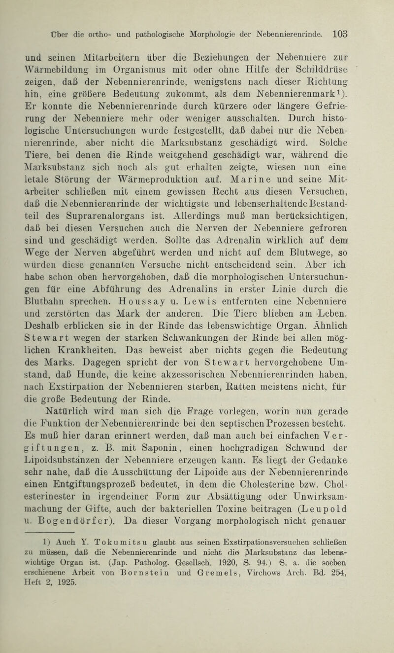 und seinen Mitarbeitern über die Beziehungen der Nebenniere zur Wärmebildung im Organismus mit oder ohne Hilfe der Schilddrüse zeigen, daß der Nebennierenrinde, wenigstens nach dieser Richtung hin, eine größere Bedeutung zukommt, als dem Nebennierenmark1). Er konnte die Nebennierenrinde durch kürzere oder längere Gefrie- rung der Nebenniere mehr oder weniger ausschalten. Durch histo¬ logische Untersuchungen wurde festgestellt, daß dabei nur die Neben¬ nierenrinde, aber nicht die Marksubstanz geschädigt wird. Solche Tiere, bei denen die Rinde weitgehend geschädigt war, während die Marksubstanz sich noch als gut erhalten zeigte, wiesen nun eine letale Störung der Wärmeproduktion auf. Marine und seine Mit¬ arbeiter schließen mit einem gewissen Recht aus diesen Versuchen, daß die Nebennierenrinde der wichtigste und lebenserhaltende Bestand¬ teil des Suprarenalorgans ist. Allerdings muß man berücksichtigen, daß bei diesen Versuchen auch die Nerven der Nebenniere gefroren sind und geschädigt werden. Sollte das Adrenalin wirklich auf dem Wege der Nerven abgeführt werden und nicht auf dem Blutwege, so würden diese genannten Versuche nicht entscheidend sein. Aber ich habe schon oben hervorgehoben, daß die morphologischen Untersuchun¬ gen für eine Abführung des Adrenalins in erster Linie durch die Blutbahn sprechen. Houssay u. Lewis entfernten eine Nebenniere und zerstörten das Mark der anderen. Die Tiere blieben am Leben. Deshalb erblicken sie in der Rinde das lebenswichtige Organ. Ähnlich Stewart wegen der starken Schwankungen der Rinde bei allen mög¬ lichen Krankheiten. Das beweist aber nichts gegen die Bedeutung des Marks. Dagegen spricht der von Stewart hervorgehobene Um¬ stand, daß Hunde, die keine akzessorischen Nebennierenrinden haben, nach Exstirpation der Nebennieren sterben, Ratten meistens nicht, für die große Bedeutung der Rinde. Natürlich wird man sich die Frage vorlegen, worin nun gerade die Funktion der Nebennierenrinde bei den septischen Prozessen besteht. Es muß hier daran erinnert werden, daß man auch bei einfachen Ver¬ giftungen, z. B. mit Saponin, einen hochgradigen Schwund der Lipoidsubstänzen der Nebenniere erzeugen kann. Es liegt der Gedanke sehr nahe, daß die Ausschüttung der Lipoide aus der Nebennierenrinde einen Entgiftungsprozeß bedeutet, in dem die Cholesterine bzw. Chol¬ esterinester in irgendeiner Form zur Absättigung oder Unwirksam- machung der Gifte, auch der bakteriellen Toxine beitragen (Leupold u. Bogendörfer). Da dieser Vorgang morphologisch nicht genauer 1) Auch Y. Tokumitsu glaubt aus seinen Exstirpationsversuchen schließen zu müssen, daß die Nebennierenrinde und nicht die Marksubstanz das lebens¬ wichtige Organ ist. (Jap. Patholog. Gesellsch. 1920, S. 94.) S. a. die soeben erschienene Arbeit von Bornstein und G rem eis, Virchows Arch. Bd. 254, Heft 2, 1925.