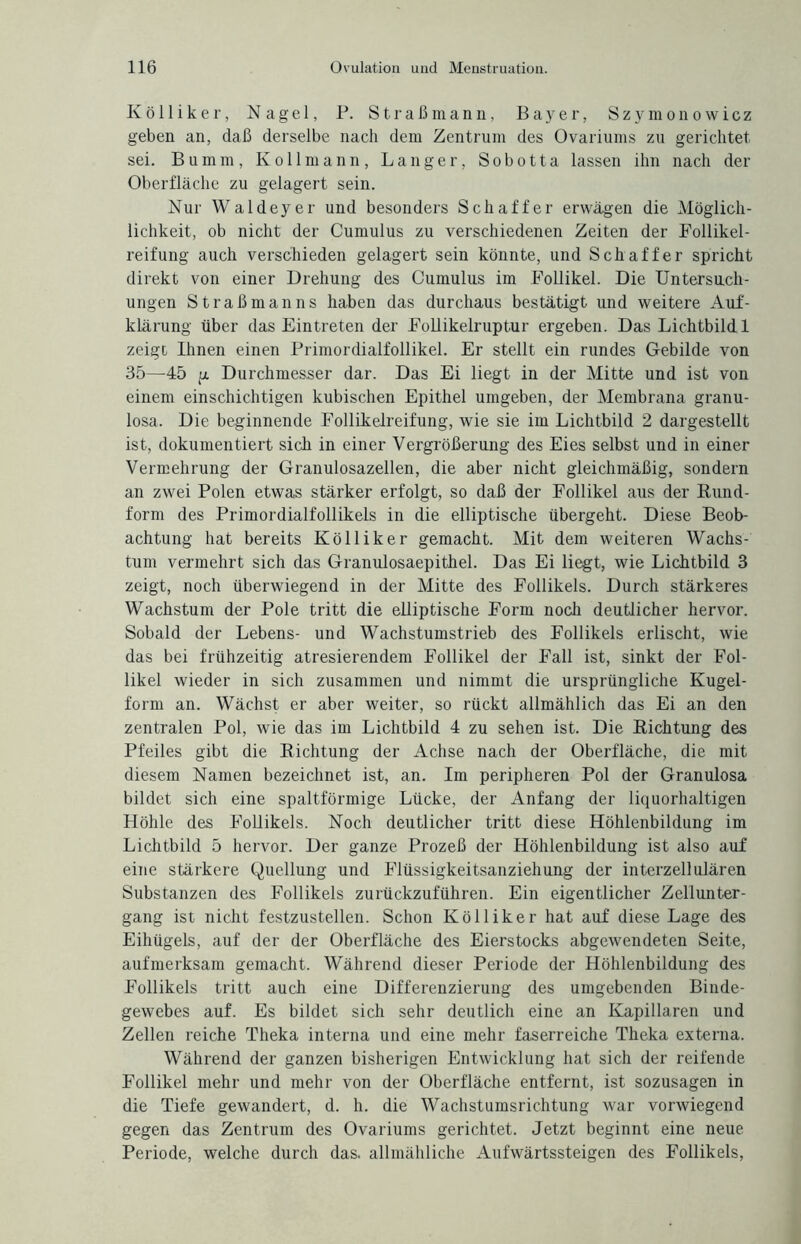 Kölliker, Nagel, P. Straß mann, Bayer, Szymonowicz geben an, daß derselbe nach dem Zentrum des Ovariums zu gerichtet sei. Bumm, Iv oll mann, Langer, Sobotta lassen ihn nach der Oberfläche zu gelagert sein. Nur Waldeyer und besonders Schaffer erwägen die Möglich- lichkeit, ob nicht der Cumulus zu verschiedenen Zeiten der Follikel¬ reifung auch verschieden gelagert sein könnte, und Schaffer spricht direkt von einer Drehung des Cumulus im Follikel. Die Untersuch¬ ungen Straßmanns haben das durchaus bestätigt und weitere Auf¬ klärung über das Eintreten der Follikelruptur ergeben. Das Lichtbild 1 zeigt Ihnen einen Primordialfollikel. Er stellt ein rundes Gebilde von 35—45 ii Durchmesser dar. Das Ei liegt in der Mitte und ist von einem einschichtigen kubischen Epithel umgeben, der Membrana granu- losa. Die beginnende Follikelreifung, wie sie im Lichtbild 2 dargestellt ist, dokumentiert sich in einer Vergrößerung des Eies selbst und in einer Vermehrung der Granulosazellen, die aber nicht gleichmäßig, sondern an zwei Polen etwas stärker erfolgt, so daß der Follikel aus der Rund¬ form des Primordialfollikels in die elliptische übergeht. Diese Beob¬ achtung hat bereits Kölliker gemacht. Mit dem weiteren Wachs¬ tum vermehrt sich das Granulosaepithel. Das Ei liegt, wie Lichtbild 3 zeigt, noch überwiegend in der Mitte des Follikels. Durch stärkeres Wachstum der Pole tritt die elliptische Form noch deutlicher hervor. Sobald der Lebens- und Wachstumstrieb des Follikels erlischt, wie das bei frühzeitig atresierendem Follikel der Fall ist, sinkt der Fol¬ likel wieder in sich zusammen und nimmt die ursprüngliche Kugel¬ form an. Wächst er aber weiter, so rückt allmählich das Ei an den zentralen Pol, wie das im Lichtbild 4 zu sehen ist. Die Richtung des Pfeiles gibt die Richtung der Achse nach der Oberfläche, die mit diesem Namen bezeichnet ist, an. Im peripheren Pol der Granulosa bildet sich eine spaltförmige Lücke, der Anfang der liquorhaltigen Höhle des Follikels. Noch deutlicher tritt diese Höhlenbildung im Lichtbild 5 hervor. Der ganze Prozeß der Höhlenbildung ist also auf eine stärkere Quellung und Flüssigkeitsanziehung der interzellulären Substanzen des Follikels zurückzuführen. Ein eigentlicher Zellunter¬ gang ist nicht festzustellen. Schon Kölliker hat auf diese Lage des Eihügels, auf der der Oberfläche des Eierstocks abgewendeten Seite, aufmerksam gemacht. Während dieser Periode der Höhlenbildung des Follikels tritt auch eine Differenzierung des umgebenden Binde¬ gewebes auf. Es bildet sich sehr deutlich eine an Kapillaren und Zellen reiche Theka interna und eine mehr faserreiche Theka externa. Während der ganzen bisherigen Entwicklung hat sich der reifende Follikel mehr und mehr von der Oberfläche entfernt, ist sozusagen in die Tiefe gewandert, d. h. die Wachstumsrichtung war vorwiegend gegen das Zentrum des Ovariums gerichtet. Jetzt beginnt eine neue Periode, welche durch das. allmähliche Aufwärtssteigen des Follikels,