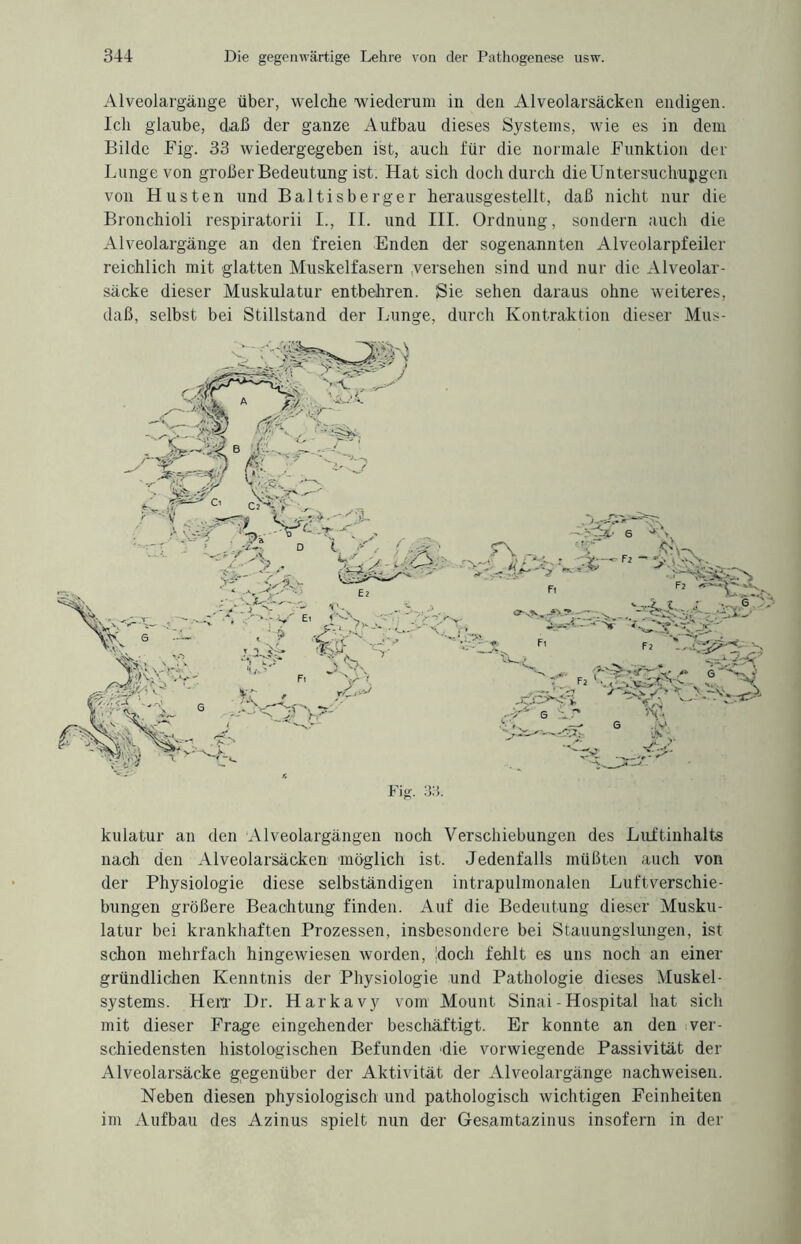 Alveolargänge über, welche wiederum in den Alveolarsäcken endigen. Ich glaube, daß der ganze Aufbau dieses Systems, wie es in dem Bilde Fig. 33 wiedergegeben ist, auch für die normale Funktion der Lunge von großer Bedeutung ist. Hat sich doch durch dieUntersuchupgen von Husten und Baltisberger herausgestellt, daß nicht nur die Bronchioli respiratorii I., II. und III. Ordnung, sondern auch die Alveolargänge an den freien Enden der sogenannten Alveolarpfeiler reichlich mit glatten Muskelfasern versehen sind und nur die Alveolar¬ säcke dieser Muskulatur entbehren. Sie sehen daraus ohne weiteres, daß, selbst bei Stillstand der Lunge, durch Kontraktion dieser Mus- Fig. 3:i. kulatur an den Alveolargängen noch Verschiebungen des Luftinhalts nach den Alveolarsäcken möglich ist. Jedenfalls müßten auch von der Physiologie diese selbständigen intrapulmonalen Luftverschie¬ bungen größere Beachtung finden. Auf die Bedeutung dieser Musku¬ latur bei krankhaften Prozessen, insbesondere bei Stauungslungen, ist schon mehrfach hingewiesen worden, doch fehlt es uns noch an einer gründlichen Kenntnis der Physiologie und Pathologie dieses Muskel¬ systems. Herr Dr. Harkavy vom Mount Sinai - Hospital hat sich mit dieser Frage eingehender bescliäftigt. Er konnte an den ver¬ schiedensten histologischen Befunden die vorwiegende Passivität der Alveolarsäcke gegenüber der Aktivität der Alveolargänge nachweisen. Neben diesen physiologisch und pathologisch wichtigen Feinheiten im Aufbau des Azinus spielt nun der Gesamtazinus insofern in der