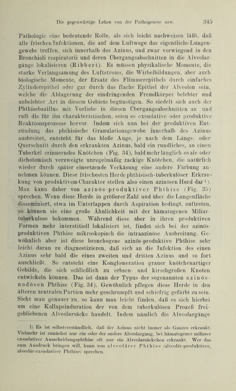 Pathologie eine bedeutende Rolle, als sich leicht nachweisen läßt, daß alle frischen Infektionen, die auf dem Luftwege das eigentlicheLungen- gewebe treffen, sich innerhalb des Azinus, und zwar vorwiegend in den Bronchioli respiratorii und deren Übergangsabschnitten in die Alveolar¬ gänge lokalisieren (Bibbert). Es müssen physikalische Momente, die starke Verlangsamung des Luftstroms, die Wirbelbildungen, aber auch biologische Momente, der Ersatz des Flimmerepithels durch einfaches Zylinderepithel oder gar durch das flache Epithel der Alveolen sein, welche die Ablagerung der eindringenden Fremdkörper belebter und unbelebter Art in diesem Gebiete begünstigen. So siedelt sich auch der Phthisebazillus mit Vorliebe in diesen Übergangsabschnitten an und ruft die für ihn charakteristischen, seien es exsudative oder produktive Beaktionsprozesse hervor. Indem sich nun bei der produktiven Ent¬ zündung das phthisische Granulationsgewebe innerhalb des Azinus ausbreitet, entsteht für das bloße Auge, je nach dem Längs- oder Querschnitt durch den erkrankten Azinus, bald ein rundliches, an einen Tuberkel erinnerndes Knötchen (Fig. 34), bald mehr länglich-ovale oder dichotomisch verzweigte unregelmäßig zackige Knötchen, die natürlich wieder durch später einsetzende Verkäsung eine andere Färbung an¬ nehmen können. Diese frischesten Herdephthisisch-tuberkulöser Erkran¬ kung von produktivem Charakter stellen also einen azinösen Herd dar1). Man kann daher von azinös-produktiver Phthise (Fig. 35) sprechen. Wenn diese Herde in größerer Zahl und über die Lungenfläche disseminiert, etwa im Unterlappen durch Aspiration bedingt, auftreten, so können sie eine große Ähnlichkeit mit der hämatogenen Miliar¬ tuberkulose bekommen. Während diese aber in ihren produktiven Formen mehr interstitiell lokalisiert ist, findet sich bei der azinös- produktiven Phthise mikroskopisch die intraazinöse Ausbreitung. Ge¬ wöhnlich aber ist diese bronchogene azinös-produktive Phthise sehr leicht daran zu diagnostizieren, daß sich an die Infektion des einen Azinus sehr bald die eines zweiten und dritten Azinus und so fort anschließt. So entsteht eine Konglomeration grauer knötchenartiger Gebilde, die sich schließlich zu erbsen- und kirschgroßen Knoten entwickeln können. Das ist dann der Typus der sogenannten azinös¬ nodösen Phthise (Fig. 34). Gewöhnlich pflegen diese Herde in den älteren zentralen Partien mehr geschrumpft und schiefrig gefärbt zu sein. Sieht man genauer zu, so kann man leicht finden, daß es sich hierbei um eine Kollapsinduration der von dem tuberkulösen Prozeß frei¬ gebliebenen Alveolarsäcke handelt. Indem nämlich die Alveolargänge 1) Es ist selbstverständlich, daß der Azinus nicht immer als Ganzes erkrankt. \ ielmehr ist zunächst nur ein oder der andere Alveolargang, bei hämatogener miliarer exsudativer Ausseheidungsphthise oft nur ein Alveolarsäckchen erkrankt. Wer das zum Ausdruck bringen will, kann von alveolärer Phthise (alveolär-produktiver, alveolär-exsudativer Phthise) sprechen.