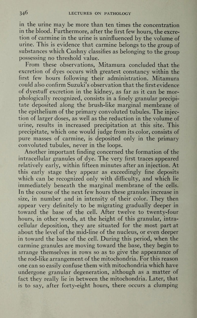 in the urine may be more than ten times the concentration in the blood. Furthermore, after the first few hours, the excre- tion of carmine in the urine is uninfluenced by the volume of urine. This is evidence that carmine belongs to the group of substances which Cushny classifies as belonging to the group possessing no threshold value. From these observations, Mitamura concluded that the excretion of dyes occurs with greatest constancy within the first few hours following their administration. Mitamura could also confirm Suzuki’s observation that the first evidence of dyestuff excretion in the kidney, as far as it can be mor- phologically recognized, consists in a finely granular precipi- tate deposited along the brush-like marginal membrane of the epithelium of the primary convoluted tubules. The injec- tion of larger doses, as well as the reduction in the volume of urine, results in increased precipitation at this site. This precipitate, which one would judge from its color, consists of pure masses of carmine, is deposited only in the primary convoluted tubules, never in the loops. Another important finding concerned the formation of the intracellular granules of dye. The very first traces appeared relatively early, within fifteen minutes after an injection. At this early stage they appear as exceedingly fine deposits which can be recognized only with difficulty, and which lie immediately beneath the marginal membrane of the cells. In the course of the next few hours these granules increase in size, in number and in intensity of their color. They then appear very definitely to be migrating gradually deeper in toward the base of the cell. After twelve to twenty-four hours, in other words, at the height of this granular, intra- cellular deposition, they are situated for the most part at about the level of the mid-line of the nucleus, or even deeper in toward the base of the cell. During this period, when the carmine granules are moving toward the base, they begin to arrange themselves in rows so as to give the appearance of the rod-like arrangement of the mitochondria. For this reason one can so easily confuse them with mitochondria which have undergone granular degeneration, although as a matter of fact they really lie in between the mitochondria. Later, that is to say, after forty-eight hours, there occurs a clumping