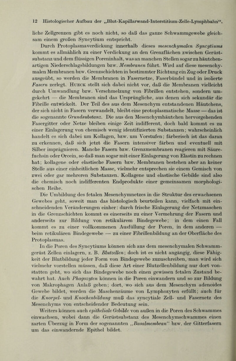 liehe Zellgrenzen gibt es noch nicht, so daß das ganze Schwammgewebe gleich- sam einem großen Syncytium entspricht. Durch Protoplasmaverdickung innerhalb dieses mesenchymalen Syncytiums kommt es allmählich zu einer Verdickung an den Grenzflächen zwischen Gerüst- substanz und dem flüssigen Poreninhalt, was an manchen Stellen sogar zu häutchen- artigen Niederschlagsbildungen bzw. Membranen führt. Wird auf diese mesenchy- malen Membranen bzw. Grenzschichten in bestimmter Richtung ein Zug oder Druck ausgeübt, so werden die Membranen in Fasemetze, Faserbündel und in isolierte Fasern zerlegt. Hueck stellt sich dabei nicht vor, daß die Membranen vielleicht durch Umwandlung bzw. Verschmelzung von Fibrillen entstehen, sondern um- gekehrt — die Membranen sind das Ursprüngliche, aus denen sich sekundär die Fibrille entwickelt. Der Teil des aus dem Mesenchym entstandenen Häutchens, der sich nicht in Fasern verwandelt, bleibt eine protoplasmatische Masse — das ist die sogenannte Grundsubstanz. Die aus den Mesenchymhäutchen hervorgehenden Fasergitter oder Netze bleiben einige Zeit indifferent, doch bald kommt es zu einer Einlagerung von chemisch wenig identifizierten Substanzen; wahrscheinlich handelt es sich dabei um Kollagen, bzw. um Vorstufen; färberisch ist das daran zu erkennen, daß sich jetzt die Fasern intensiver färben und eventuell mit Silber imprägnieren. Manche Fasern bzw. Grenzmembranen reagieren mit Säure- fuchsin oder Orcein, so daß man sogar mit einer Einlagerung von Elastin zu rechnen hat; kollagene oder elastische Fasern bzw. Membranen bestehen aber an keiner Stelle aus einer einheitlichen Masse, vielmehr entsprechen sie einem Gemisch von zwei oder gar mehreren Substanzen. Kollagene und elastische Gebilde sind also die chemisch noch indifferenten Endprodukte einer gemeinsamen morphologi- schen Reihe. Die Umbildung des fetalen Mesenchymnetzes in die Struktur des erwachsenen Gewebes geht, soweit man das histologisch beurteilen kann, vielfach mit ein- schneidenden Veränderungen einher; durch frische Einlagerung der Netzmaschen in die Grenzschichten kommt es einerseits zu einer Vermehrimg der Fasern und anderseits zur Bildung von retikulärem Bindegewebe; in dem einen Fall kommt es zu einer vollkommenen Ausfüllung der Poren, in dem anderen — beim retikulären Bindegewebe — zu einer Fibrillenbildung an der Oberfläche des Protoplasmas. In die Poren des Syncytiums können sich aus dem mesenchymalen Schwamm- gerüst Zellen einlagern, z. B. Blutzellen; doch ist es nicht angängig, diese Fähig- keit der Blutbildung jeder Form von Bindegewebe zuzuschreiben, man wird sich vielmehr vorstellen müssen, daß diese Art eurer Blutzellenbildung nur dort von- statten geht, wo sich das Bindegewebe noch einen gewissen fetalen Zustand be- wahrt hat. Auch Phagozyten können in die Poren einwandern und so zur Bildung von Makrophagen Anlaß geben; dort, wo sich aus dem Mesenchym adenoides Gewebe bildet, werden die Maschenräume von Lymphozyten erfüllt; auch für die Knorpel- und Knochenbildung muß das syncytiale Zell- und Fasernetz des Mesenchyms von entscheidender Bedeutung sein. Weiters können auch epitheliale Gebilde von außen in die Poren des Schwammes einwachsen, wobei dann die Gerüstsubstanz des Mesenchymschwammes einen zarten Überzug in Form der sogenannten ,, Basalmembran1' bzw. der Gitterfasern um das ein wandernde Epithel bildet.