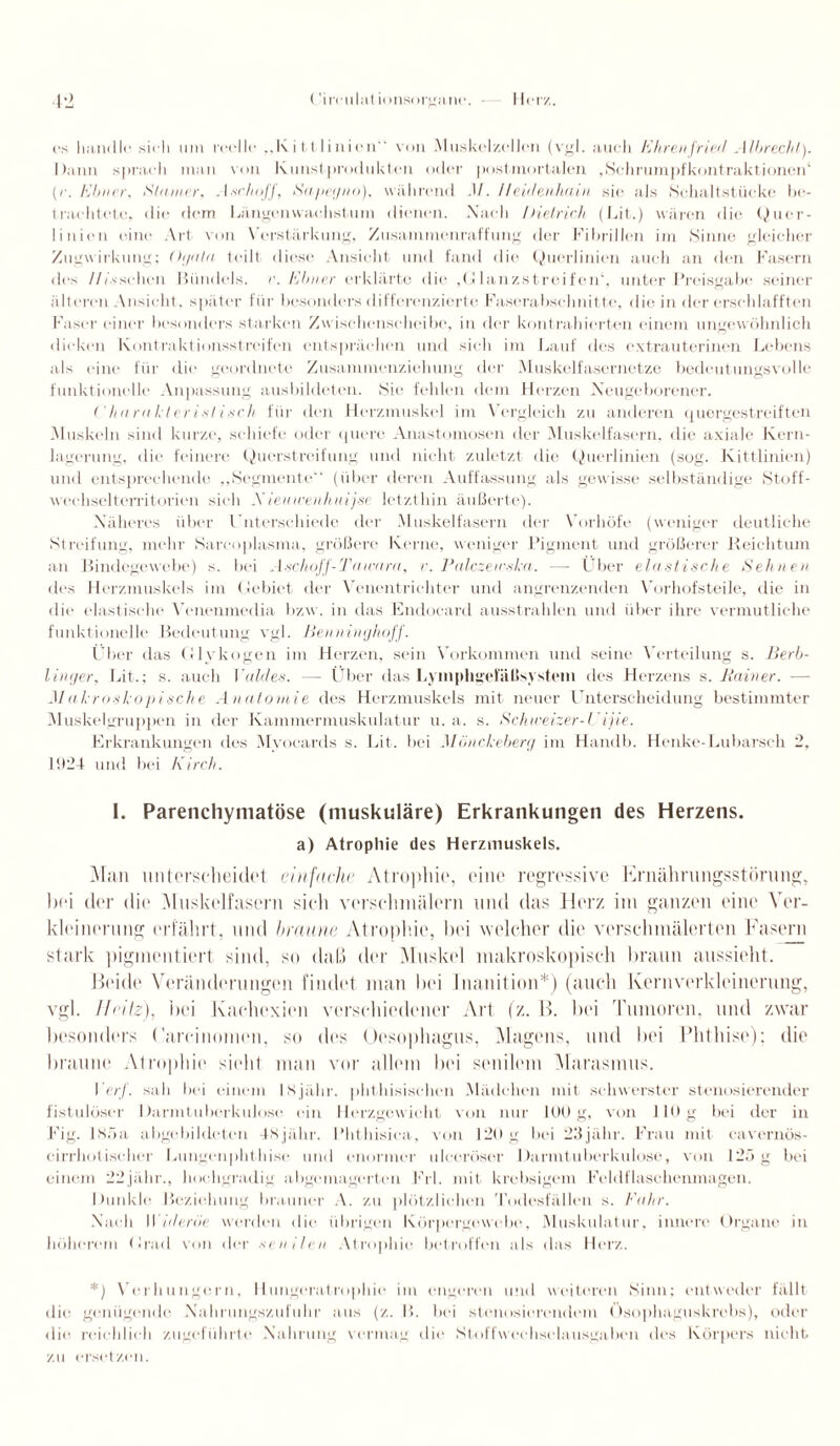 es handle sich um reelle ,,K i 11 linien von Muskelzellen (vgl. auch Ehren fried Albrecht). Dann sprach inan von Kunst produkten oder postmortalen .Schrumpfkontraktionen1 (r. Ebner, Stainer, AschoJJ, Sapegno), während .1/. Ileidenhain sie als Schaltstücke be¬ trachtete, die dem Längenwachstum dienen. Nach Dietrich (Lit.) wären die Quer- linicn eine Art von Verstärkung, Zusammenraffung der Fibrillen im Sinne gleicher Zugwirkung: Or/ntn teilt diese Ansicht und fand die Querlinien auch an den Fasern des //esschon Bündels, r. Kbner erklärte die ,Glanzstreifcn‘, unter Preisgabe seiner älteren Ansicht, später für besonders differenzierte Faserabschnitte, die in der erschlafften Faser einer besonders starken Zwischenscheibe, in der kontrahierten einem ungewöhnlich dicken Kontraktionsstreifen entsprächen und sich im Lauf des extrauterinen Lebens als eine für die geordnete Zusammenziehung der Muskelfasernetze bedeutungsvolle funktionelle Anpassung ausbildeten. Sie fehlen dem Herzen Neugeborener. Charakteristisch für den Herzmuskel im Vergleich zu anderen quergestreiften Muskeln sind kurze, schiefe oder quere Anastomosen der Muskelfasern, die axiale Kern¬ lagerung, die feinere Querstreifung und nicht zuletzt die Querlinien (sog. Kittlinien) und entsprechende „Segmente (über deren Auffassung als gewisse selbständige Stoff¬ wechselterritorien sieh X ieuirenh uijsi letzthin äußerte). Näheres über Unterschiede der Muskelfasern der Vorhöfe (weniger deutliche Streifung, mehr Sarcoplasma, größere Kerne, weniger Pigment und größerer Reichtum an Bindegewebe) s. bei .1 schaff - Tn trara, r. Palczewska. — Uber elastische Sehnen des Herzmuskels im Gebiet der Venentrichter und angrenzenden Vorhofsteile, die in die elastische Venenmedia bzw. in das Endocard ausstrahlen und über ihre vermutliche funktionelle Bedeutung vgl. Benninghoff. Über das Glykogen im Herzen, sein Vorkommen und seine Verteilung s. Berb- linger, Lit.; s. auch 17oldes. — Über das Lyinphgefäßsystem des Herzens s. Rainer. - Makroskopische Anatomie des Herzmuskels mit neuer Unterscheidung bestimmter Muskelgruppen in der Kammermuskulatur u. a. s. Schweizer-L’ijie. Erkrankungen des Myocards s. Lit. bei Müncheberg im Handb. Henke-Lubarsch 2, 11124 und bei Kirch. I. Parenchymatöse (muskuläre) Erkrankungen des Herzens, a) Atrophie des Herzmuskels. Man unterscheidet einfache Atrophie, eine regressive Ernährungsstörung, bei der die Muskelfasern sieh verschmälern und das Herz int ganzen eine Ver¬ kleinerung erfährt, und braune Atrophie, bei welcher die verschmälerten Fasern stark pigmentiert sind, so daß der Muskel makroskopisch braun aussieht. Heide Veränderungen findet man bei Inanilion*) (auch Kernverklcinerung, vgl. Ifeitz), bei Kachexien verschiedener Art (z. B. bei Tumoren, und zwar besonders (’arcinomen, so des Oesophagus, Magens, und bei Phthise); die braune Atrophie sieht man vor allem bei senilem Marasmus. Per/, sah bei einem Isjähr. phthisischen .Mädchen mit schwerster stenosierender fistulöser Darmtuberkulose ein Herzgewicht von nur 100 g, von 110 g bei der in Fig. Jsöa abgebildeten -tsjähr. Phthisica, von 120 g bei 23jähr. Frau mit cavernös- cirrhotisolier Lungenphthise und enormer uleeröser Darmtuberkulose, von 12ög bei einem 22 jähr., hochgradig abgemagerten Frl. mit krebsigem Feldflaschenmagen. Dunkle Beziehung brauner A. zu plötzlichen Todesfällen s. Fahr. Nach I\ iderüe werden die übrigen Körpergewebe, Muskulatur, innere Organe in höherem Grad von der senilen Atrophie betroffen als das Herz. *) Verhungern, 11ungeratrophie im engeren und weiteren Sinn: entweder fällt die genügende Nahrungszufuhr aus (z. P>. bei stenosierendom Osophaguskrebs), oder die reichlich zugeführte Nahrung vermag die Stoffweehselausgaben des Körpers nicht, zu ersetzen.