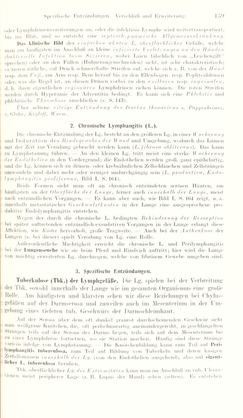 Spezifische l-'nfZündungen. Verschluß mul Isrvvfi 1«• ri111«r. oder Lvmphdniscn Vereiterungen an. oder die inlektiöse L\ m |)he \vi nl weitert ra nsport ierl. |,js ins Blut, und so entsteht eine jil i -sch - p i/ii in i -sc h i .1 / /g ein e i nerk nt n I: u n g. Bas Klinische Bild der v mj ach e n akuten /,. ohe r fl ü c li l'i r h e r (Jcläßc. welche man am häufigsten im Anschluß an kleine injizierte \ i r I e I: n n g r n an den Händen (ha kl er i cl11 Infektion Io im Sezieren. wobei Laien fälschlich von .. Leichengift  sprechen) oder an den Fußen (Fl ülmeraugeusc Imeiden) sieht, ist sehr charakteristisch; es treten rötliche, auf Druck schmerzhafte Streifen auf. welche sieh z. B. von der Hund resp. dem Fuß, am Arm resp. Bein herauf bis zu den Ellenbogen- resp. I’oplitealdi iisen oder, was die Kegel ist, an diesen Drüsen vorbei zu den axillaren resp. / ng n i n u Ir ii , d. h. ihren eigent liehen r eg i oh ii ren Lymphdrüscn ziehen können. Die roten Streifen werden durch Hyperämie der Advent itia bedingt. Ks kann sieh eine R lilelii I i s und phlehit isehe Th rombo-a ansehiießen (s. S. 143). (her seltene eilrtge Entzündung d < s lJuetus I horaeieu.s s. Pa p/ienhei mer. v.Olahn. hrgloff, II urm. 2. Chronische Lymphaugitis (L.). I )ie chronische Knt ztindung der Lg. bestellt an den größeren Lg. in einer II u ch er u u g und Induration des Bindegewebes der Wund und Umgebung, wodurch das Lumen mit der Zeit zur 'Verödung gebracht werden kann (L.fibrosa obliteruns). Das kann zu Lvmphstauung führen. An den kleinen Lg. tritt meist eine starke Wucherung der End ol Ii eI i e n in den Vordergrund; die Kndothelien werden groß, ganz epithelartig, und die Lg. können sieh zu dr iisen- oder krebsähnlichen Zellsehlauehen und Zellst rängen umwandeln und dabei mehr oder weniger undurchgängig sein (L. prod ncti ra, Enda- I ifm pha n ijil i* proliferans, Bild 1. S. 164). Beide Formen sieht man oft an chronisch entzündeten serösen Häuten, am häufigsten an der Oberfläche der Lunge, ferner auch innerhalb der Lunge, meist nach entzündlichen Vorgängen. ■— Es kann aber auch, wie Bild I, S. 164 zeigt, u. a. innerhalb metastatischer (le#einen Istknote« in der Lunge eine ausgesprochene pro¬ duktive Endolymphangitis entstehen. Wegen der durch die chronische L. bedingten Behinderung der Resorption hei später auftretenden entzündlich-exsudativen Vorgängen in der Lunge erlangt diese Affektion, wie Koder hervorhob, große Tragweite. — Auch bei der Anthrakose der Lungen (s. bei dieser) spielt Verödung von Lg. eine Rolle. Außerordentliche Mächtigkeit erreicht die chronische L. und Perilymphangitis bei der Lungenseuche w ie sie beim Pferd und Rindvieh auftritt; hier wird die Lunge von mächtig erweiterten Lg. durchzogen, welche von fibrösem (Je webe umgeben sind. 3. Spezifische Entzündungen. Tuberkulose (Tbk.) der L\m|digeliUle. hie Lg. spielen Lei der Verbreitung der 1 bk. sowohl innerhalb der Longe wie int gesandelt Organismus eine grolle Rolle. Am häufigsten und klarsten sehen wir diese Beziehungen bei (’hylns- geläl.len auf der I kirmserosa und zuweilen auch im .Mesenterium in der Ein¬ gebung eines lieferen tub. Oeschwiirs der I larmsrhleimhaut. Auf der Scrosa über dem oft dunkel graurot durchscheinenden (Icschuür sieht man weißgraue Knötchen, die, oft perlschnurartig aneinandergereiht, in geschlängelten Strängen teils auf der Scrosa des Darms liegen, teils sieh auf dem Mesenterium his zu einer Lvmphdrüse fortsetzen, wo sie Station machen. Häufig sind diese Stränge varicös infolge von Lvmphstauung. Die Knote henhilduiig kann zum Teil auf IVri- hniphamdlis tulierciilosa. zum lei] auf Bildung von Tuberkeln und deren käsigen Zerfallsmassen innerhalb der Lg, (von den Kndothelien ausgehend), also au! cigcnl- lichcr I.. tiiberciilosa licruhcn. I bk. oberflächlicher Lg. der Extremitäten kann man im Anschluß an tub. I Rela¬ tionen meist peripherer Lage (z. B. Lupus der Hand) sehen (selten). Fs entstehen