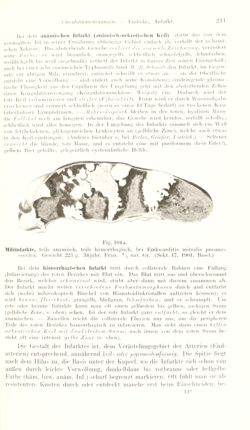 Embolie. Infurkt. ('irculat i<msstörungen. Hei <l<ni anämischen Infarkt (anämisch-nckrotischen Keil) stirbt «las von dem verstopften Ast in seiner Ernährung abhängige Gebiet einfach ab, verfällt der isehämi- sehen Nekrose. Das absterbende Gewebe verliert d i e n or m a I r Z e i c len un (/, verändert seine Farbe: es wird bräunlich, orangegelb, schließlich schwefelgelb, lelinilarbcn. weißlichgelb bis weiß (regelmäßig verliert der Infarkt in kur/,er Zeit seinen Eisengehalt; auch bei einer sehr eisenreichen Typhusmilz fand .1/. />'. Schmidt den Infarkt, im (Jegen¬ satz zur übrigen Milz, eisenfrei); zunächst schwillt es etwas an - an der Oberfläche entsteht eine Yorwülbung - und ändert auch seine Konsistenz; eindringende plasma tjS(.he Flüssigkeit aus den Kapillaren der Umgebung geht mit den absterbenden Zellen einen Koagulationsvorgang (Koagulationsnekrose, II in/erl) ein. Dadurch wird der tote Keil voluminöser und steifer (Fibrin lei l). Dann wird er durch \\ asserabgabe trockener und erinnert schließlich (wozu es circa I t Tage bedarf) an trockenen Käse tuberkulöser Eymphdriisen. Mikroskopisch bleiben in der toten, hyalinen Masse die Follikel noch am längsten erkennbar; das (lewebe wird kernlos, zerfällt schollig; schließlich wild alles homogen. In der Umgebung des Infarkts sammelt sieh ein Wall von fettbeladcncn. glvkogcnreichcn Leukocyten an (gelbliche Zone), welche auch etwas in den Keil cindringen. (Anderes hierüber s. bei Ficker. (Irießer, I lelrich.) - Seltener erweicht die blande, tote .Masse, und es entsteht eine mit puriformem (kein Fiter!), gelbem Urei gefüllte, gelegentlich eystcnähnliche Höhle. Fig. 104a. .Milzinl'arkte, teils anämisch, teils hämorrhagisch, bei Endocarditis mitralis pneumo- eoceiea. Gewicht 225g. 34jähr. Frau. 4y, nat. Gr. (Sekt. 17, 1901, Basel.) Bei dem hämorrhagischen Infarkt tritt durch unilaterale Bahnen eine Füllung (Infarcierung) des toten Bezirkes mit Blut ein. Das Blut tritt aus und überschwemmt den Bezirk, welcher schwarzrot wird, stirbt aber dann mit diesem zusammen ab. Der Infarkt macht weiter verschiedene F arbnieteiniorph osen durch und entfärbt sieh (wobei mikroskopisch Büschel von Hämatoidinkristallen auftreten können); er wird braun, fleischrot. graugelb, blaßgrau, lehmfarben. und er schrumpft. Um rote oder braune Infarkte kann man oft einen gelbroten bis gelben, zackigen Saum (gelbliebe Zone, s. oben) sehen. Ist der rote Infarkt ganz e ulfür bl, so gleicht or dem anämischen. Zuweilen reicht die collaterale Fluxion nur aus. um die peripheren Teile des toten Bezirkes hämorrhagisch zu infareieren. Man sieht dann einen hellen nekrotischen Fei! mit d ii nkelrotem Fa um: nach innen von dem roten Saum be¬ steht oft eine intensiv tjelbe Zone (s. oben). I >ie Gestalt des Infarktes ist. dem Yerästelimgsgebiet der Arterien (Kml- arterien) entsprechend, annähernd heil- oder ptinmiidcvföniiifi. I >ie Spitze liegl nach dein llilns zu. die Basis unter der Kapsel, wo die Infarkte sielt schon von außen durch leichte Yorwülbung, dunkelblaue bis rotbraune oder hellgelbe Farbe (hüiii. bzw. anäni. Inf.) scharf begrenzt markieren. Oft fühlt man sie als resistentere Knoten durch oder entdeckt manche erst beim Kinselmeideii. be- l l*