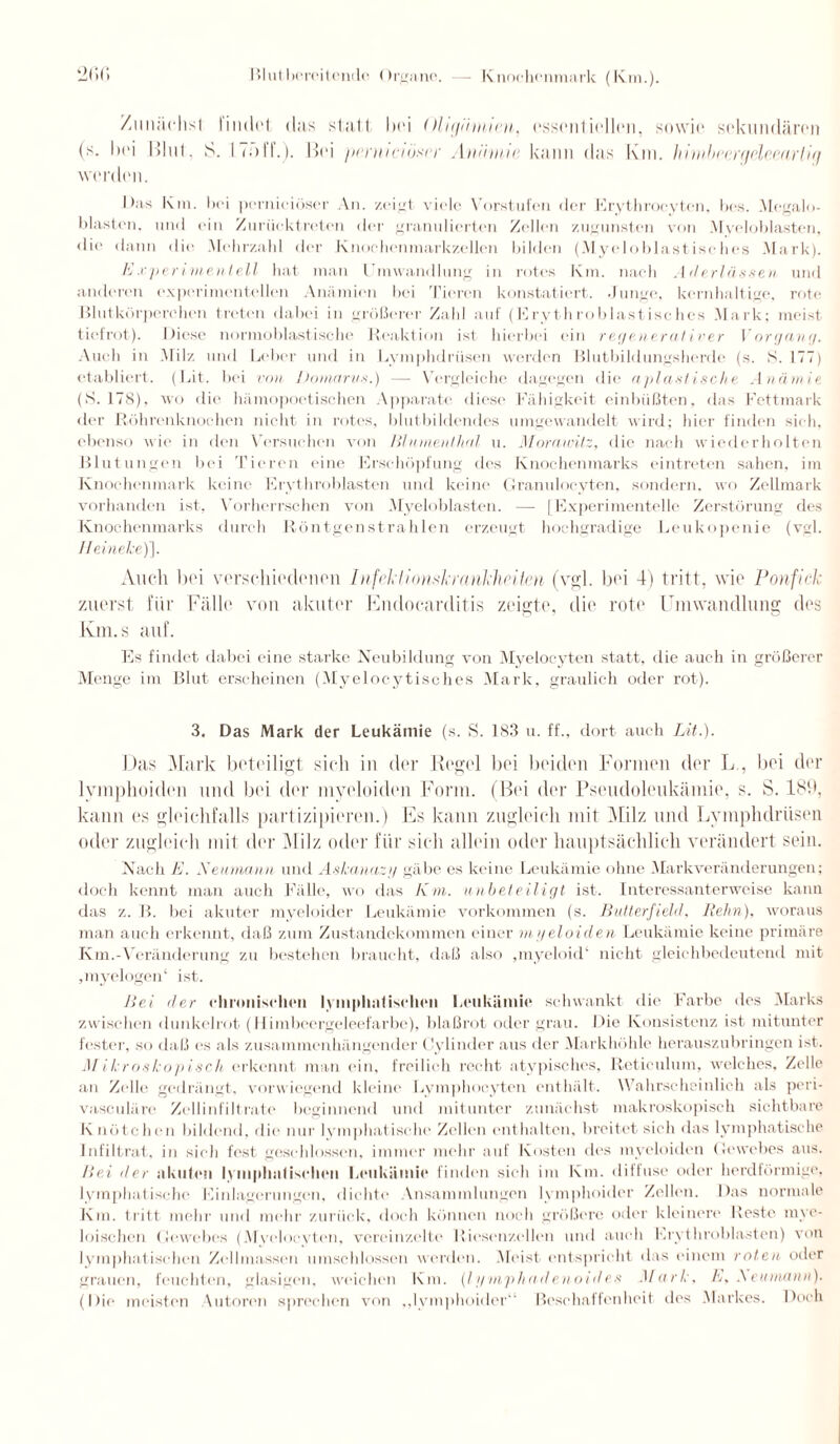 Zunächst lindot das statt hei iHu/ihmen, essentiellen, sowie sekundären (s. hei Blut. S. ITf»IT.). Bei ppnuciijsrr . 1 niintia kann das Km. hi inlwvi'qdc.eartiri werden. Das Km. bei pernieiöser An. zeigt viele Vorstufen der Erythrocytcn, lies. Megalo¬ blasten, und ein Zurücktreten der granulierten Zellen zugunsten von Myeloblasten, die dann die Mehrzahl der Knochenmarkzellen bilden (Myeloblastisches Mark). Experimentell hat man Umwandlung in rotes Km. nach Ad erlassen und anderen experimentellen Anämien bei Tieren konstatiert. .Junge, kernhaltige, rote Blutkörperchen treten dabei in gröberer Zahl auf (Erythroblastisehes Mark; meist tiefrot). Diese normoblastisehe Reaktion ist hierbei ein regenerativer Vorgang. Auch in Milz und Leber und in Lymphdriisen werden Blutbildungsherde (s. S. 177) etabliert. (Lit. bei von Domarvs.) — Vergleiche dagegen die apiastische Anämie (S. 178), wo die hümopoetischen Apparate diese Fähigkeit einbüßten, das Fettmark der Röhrenknochen nicht in rotes, blutbildendes umgewandelt wird; hier finden sich, ebenso wie in den Versuchen von lilmnenthal u. Morawitz, die nach wiederholten Blutungen bei Tieren eine Erschöpfung des Knochenmarks eintreten sahen, im Knochenmark keine Erythroblasten und keine Granulocyten, sondern, wo Zellmark vorhanden ist, Vorherrschen von Myeloblasten. — [Experimentelle Zerstörung des Knochenmarks durch Röntgenstrahlen erzeugt hochgradige Leukopenie (vgl. Heineke)\. Auch bei verschiedenen InfektionskrankheUm (vgl. bei 4) tritt, wie Ponfick zuerst für Fälle von akuter Endocarditis zeigte, die rote Umwandlung des Km.s auf. Es findet dabei eine starke Neubildung von Myelocyten statt, die auch in größerer Menge im Blut erscheinen (Myelocytisches Mark, graulich oder rot). 3. Das Mark der Leukämie (s. S. 183 u. ff., dort auch Lit.). Das Mark beteiligt sich in der Regel bei beiden Formen der L , bei der Ivmphoiden und bei der myeloiden Form. (Bei der Pseudoleukämie, s. S. 18h, kann es gleichfalls partizipieren.) Es kann zugleich mit Milz und Lymphdriisen oder zugleich mit der Milz oder für sich allein oder hauptsächlich verändert sein. Nach E. Neumann und Askanazy gäbe es keine Leukämie ohne Markveränderungen; doch kennt man auch Fälle, wo das Km. unbeteiligt ist. Interessanterweise kann das z. B. bei akuter myeloider Leukämie Vorkommen (s. Butterfield, Reim), woraus man auch erkennt, daß zum Zustandekommen einer myeloiden. Leukämie keine primäre Km.-Veränderung zu bestehen braucht, daß also ,myeloid‘ nicht gleichbedeutend mit ,myelogen1 ist. Hei der chronischen lymphatischen Leukämie schwankt die Farbe des Marks zwischen dunkelrot (Uiinbeergeleefarbe), blaßrot oder grau. Die Konsistenz ist mitunter fester, so daß cs als zusammenhängender (lylinder aus der Markhöhlc herauszubringen ist. Mikroskopisch erkennt man ein, freilich recht atypisches, Reticulum, welches, Zelle an Zelle gedrängt, vorwiegend kleine Lymphoeyten enthält. Wahrscheinlich als peri- vasculäre Zellinfiltrate beginnend und mitunter zunächst makroskopisch sichtbare Knötchen bildend, die nur Iemphatische Zellen enthalten, breitet sich das lymphatische Infiltrat, in sich fest geschlossen, immer mehr auf Kosten des myeloiden Gewebes aus. Hei der akuten lymphatischen Leukämie finden sich im Km. diffuse oder herdförmige, lymphatische Kinlagerungen, dichte Ansammlungen lymphoider Zellen. Das normale Km. tritt mehr und mehr zurück, doch können noch größere oder kleinere Reste mye¬ loischen Gewebes (Mvclocyton, vereinzelte Riesenzcllcn und auch Krythroblasten) von lymphatischen ZeIlmassen umschlossen werden. Meist entspricht das einem roten oder grauen, feuchten, glasigen, weichen Km. (lyniphadenoides Mark, E, Acuniann). (Die meisten Autoren sprechen von „lymphoider Beschaffenheit des Markes. Doch