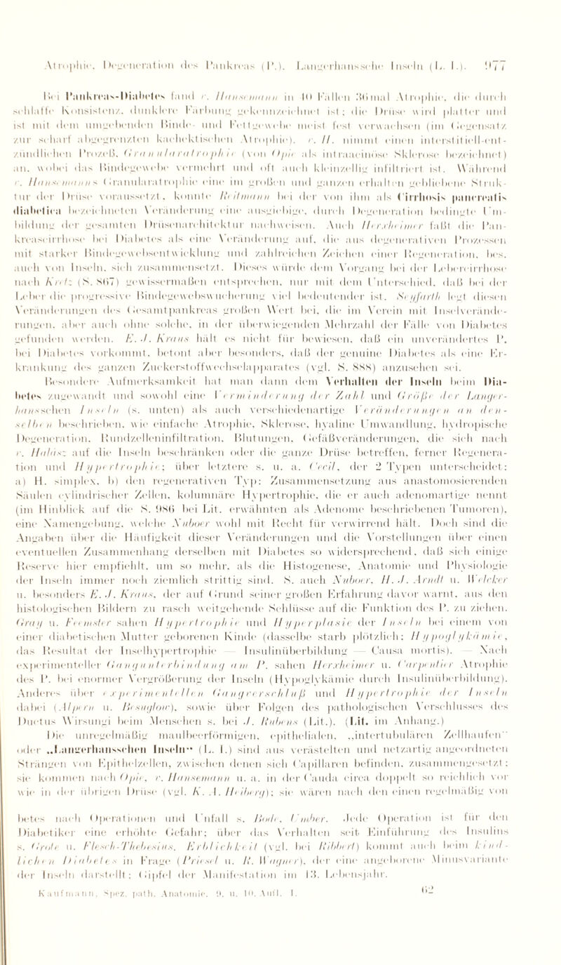 I»< i Pankrcas-IHabelcs fand r. Honst ntaiiii in 10 Fällen 'Mimal .\tri>|>lii<% die dnreli seldalfe Konsistenz. dunklere färbung gekennzeichnet ist; die Drüse wird platter und ist mit dem umgebenden Binde und Fettgewebe meist fest verwachsen (im Gegensatz zur seharl a bgegrenztcn kaehekt iselien Atrophie). II. nimmt einen interst it iell-ent - zündlichcn Prozeß. G ro int Io rtt I roph i t (von Opi, als intraaeinOse Sklerose bez.eieluiet) an. wobei das Bindegewebe vermeint und oft atielt kleinzellig infiltriert ist. Wahrend r. I In in. lim ,i ii s (iranularat ropliie eine im großen und ganzen erhalten gebliebene Struk tur der Drüse voraussetzt, konnte Rtihiiaiiii bei der von ihm als Cirrlmsis pauereatis diabetica bezeielmeten Veränderung eine ausgiebige, durch Degeneration bedingte Um¬ bildung der gesamten Drüsenarchitcktur naeltweisen. Auch ller.rheimer fal.it die Pan- kreaseit rhose bei Diabetes als eine Veränderung auf, die ans degenerat iven Prozessen mit starker Bindegew ebsentwieklung und zahlreichen Zeichen einer Regeneration, bcs. auch von Inseln, sielt zusammensetzt. Dieses würde dem Vorgang bei der Lebereirrhose nach Kretz (S. X(i7) gewissermaßen entsprechen, nur mit dem Lutersehied. daß bei der Leber die progressive Bindegewebswucherung viel bedeutender ist. Sryfarth legt diesen Veränderungen des (Jesamtpankreas großen Wert bei, die im Verein mit Inselverände¬ rungen. aber auch ohne solche, in der überwiegenden Mehrzahl der Fällt' von Diabetes gefunden werden. Krott« hä11 es nicht für bewiesen, daß ein unverändertes I’. bei Diabetes vorkommt, betont aber besonders, daß der genuine Diabetes als eine Fr- krankung des ganzen Zuckerst off wechseln ppa rat es (vgl. S. SSS) anzusehen sei. Besondere Aufmerksamkeit hat man dann dem Verhallen der Inseln beim llia- hetes zugewandt und sowohl eine I <rmindrrung der Zahl und Größe der Langn- /tUM*sehen I it'i In (s. unten) als auch verschiedenartige I erün-tlerungen an den - srIIn ii beschrieben, wie einfache Atrophie, Sklerose, hyaline Umwandlung, hydropische Degeneration. Rundzelleninfiltration. Blutungen, <Jefäßveränderungen, die sich nach r. Hold«z auf die Inseln beschränken oder die ganze Drüse betreffen, ferner Regenera¬ tion und Hypertrophie; über letztere s. u. a. Gerd, der 2 Typen unterscheidet: <t) ff. simplex, b) den regenerativen Typ: Zusammensetzung aus anastomosierenden Säulen cvlindrischer Zellen, kolumnäre Hypertrophie, die er auch adenomartige nennt (im Hinblick auf die S. !ISH bei Lit. erwähnten als Adenome beschriebenen Tumoren), eine Namengebung, welche Xttboer wohl mit Recht für verwirrend hält. Doch sind die Angaben über die Häufigkeit dieser Veränderungen und die Vorstellungen über einen eventuellen Zusammenhang derselben mit Diabetes so widersprechend, daß sich einige Reserve hier empfiehlt, um so mehr, als die Histogenese, Anatomie und Physiologie der Inseln immer noch ziemlich strittig sind. S. auch Xubocr. H.d.Arndl u. Welrkrr u. besonders E. d. Krau«, der aufgrund seiner großen Frfahrung davor warnt, aus den histologischen Bildern zu rasch weitgehende Schlüsse auf die Funktion des P. zu ziehen. Gray u. Feem«ter sahen H ype.rtro phir und Hyperplasie der 1 n «ein bei einem von einer diabetischen Mutter geborenen Kinde (dasselbe starb plötzlich: // // poyl y kö nt 11 , das Resultat der Inselhypertrophie Insuliniiberbildung Causa mortis). Nach experimenteller Gang unterln nd u ng o nt /’. sahen Htr.rliriiiter u. < 'arpentit r Atrophie des P. bei enormer Vergrößerung der Inseln (Hypoglykämie durch Insulinüberbildung). Anderes über e x per im en teilen Go ngre. rtt eh l-tiß und H ypertrophie der Inseln dabei (.1 Ipern u. Besuglow), sowie über Folgen des pathologischen \ ersehlusses des Ductus Wirsungi beim Menschen s. bei ./. Ruhen« (Lit.). (Lit. im Anhang.) Die unregelmäßig maulbeerfürmigen. epithelialen. ,,intertubulären Zellhaufen oder ..Laiiti'erliaiissclieii Inseln’* {L. I.) sind aus verästelten und netzartig angeordneten Strängen von Kpithelzellen, zwischen denen sich Capillaren befinden, zusammengesetzt: sie kommen nach Opie, r. Ilavseniaun u. a. in der Cauda circa doppelt so reiehlieli vor wie in der übrigen Drüse (vgl. I\ . .1. Helberg); sie wären nach den einen regelmäßig von bete- nach Operationen und Unfall s. linde, I'ni.ber. Jede Operation ist für den Diabetiker eine erhöhte Gefahr; über das Verhalten seit Finführung des Insulins s. firote u. Fleseh-Thebesiu«. Erbliedtlce.it (vgl. bei Ribbert) kommt auch beim l'tntl- lieht it lJ iahet e« in krage (Priest/ u. R. Wtigntr), der eine angeborene Minusvariante der Inseln darstellt; Oipfel der Manifestation im l.'L Lebensjahr. Kaufmann, spez. path. Anatomie, it. u. m. Ami. I.