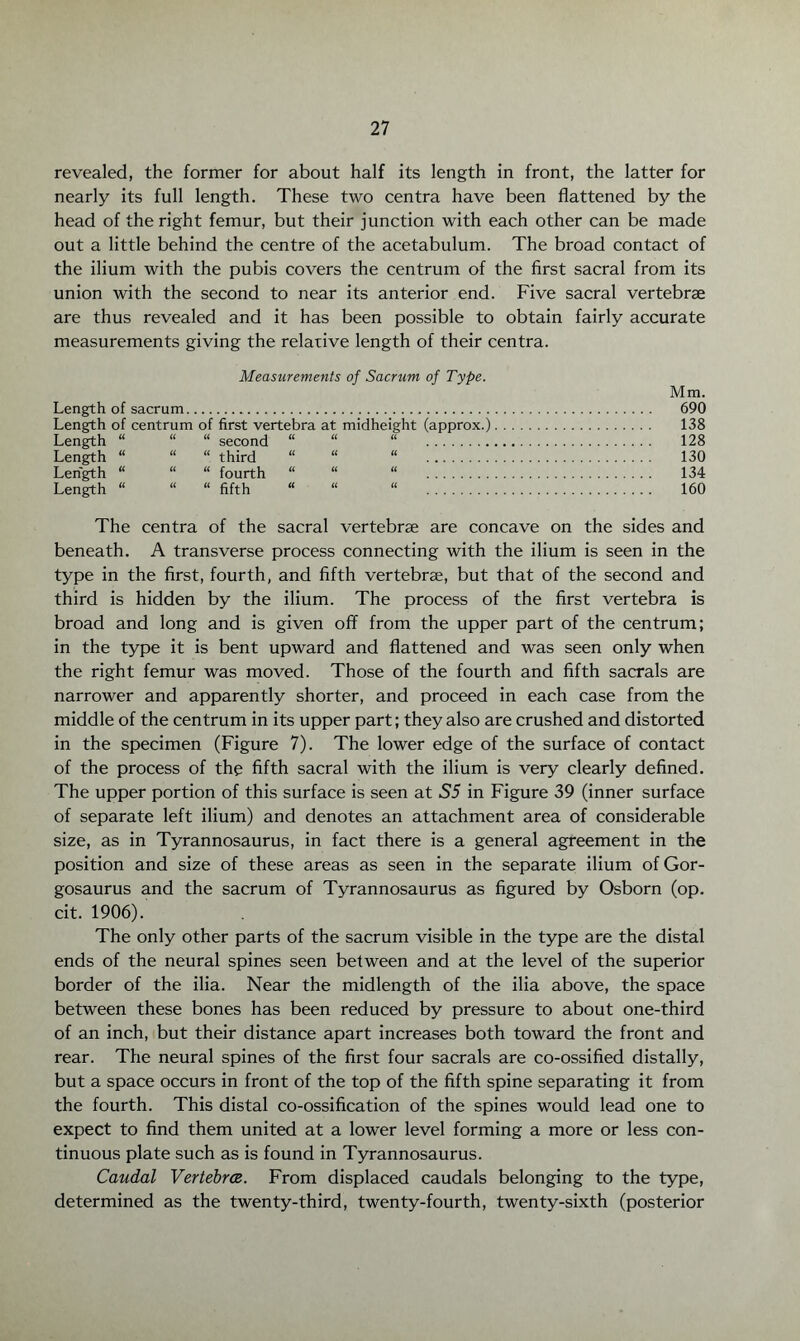 revealed, the former for about half its length in front, the latter for nearly its full length. These two centra have been flattened by the head of the right femur, but their junction with each other can be made out a little behind the centre of the acetabulum. The broad contact of the ilium with the pubis covers the centrum of the first sacral from its union with the second to near its anterior end. Five sacral vertebrae are thus revealed and it has been possible to obtain fairly accurate measurements giving the relative length of their centra. Measurements of Sacrum of Type. Length of sacrum. Length of centrum of first vertebra at midheight (approx.) Length “ “ “ second “ “ “ . Length “ “ “ third “ “ “ . Length “ “ “ fourth “ “ “ . Length “ “ “ fifth “ “ “ . Mm. 690 138 128 130 134 160 The centra of the sacral vertebrae are concave on the sides and beneath. A transverse process connecting with the ilium is seen in the type in the first, fourth, and fifth vertebrae, but that of the second and third is hidden by the ilium. The process of the first vertebra is broad and long and is given off from the upper part of the centrum; in the type it is bent upward and flattened and was seen only when the right femur was moved. Those of the fourth and fifth sacrals are narrower and apparently shorter, and proceed in each case from the middle of the centrum in its upper part; they also are crushed and distorted in the specimen (Figure 7). The lower edge of the surface of contact of the process of the fifth sacral with the ilium is very clearly defined. The upper portion of this surface is seen at S5 in Figure 39 (inner surface of separate left ilium) and denotes an attachment area of considerable size, as in Tyrannosaurus, in fact there is a general agreement in the position and size of these areas as seen in the separate ilium of Gor- gosaurus and the sacrum of Tyrannosaurus as figured by Osborn (op. cit. 1906). The only other parts of the sacrum visible in the type are the distal ends of the neural spines seen between and at the level of the superior border of the ilia. Near the midlength of the ilia above, the space between these bones has been reduced by pressure to about one-third of an inch, but their distance apart increases both toward the front and rear. The neural spines of the first four sacrals are co-ossified distally, but a space occurs in front of the top of the fifth spine separating it from the fourth. This distal co-ossification of the spines would lead one to expect to find them united at a lower level forming a more or less con¬ tinuous plate such as is found in Tyrannosaurus. Caudal Vertebra. From displaced caudals belonging to the type, determined as the twenty-third, twenty-fourth, twenty-sixth (posterior