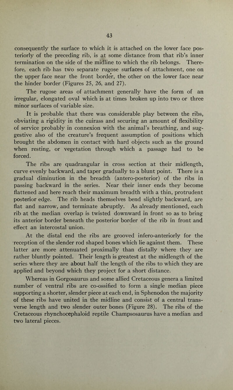 consequently the surface to which it is attached on the lower face pos¬ teriorly of the preceding rib, is at some distance from that rib’s inner termination on the side of the midline to which the rib belongs. There¬ fore, each rib has two separate rugose surfaces of attachment, one on the upper face near the front border, the other on the lower face near the hinder border (Figures 25, 26, and 27). The rugose areas of attachment generally have the form of an irregular, elongated oval which is at times broken up into two or three minor surfaces of variable size. It is probable that there was considerable play between the ribs, obviating a rigidity in the cuirass and securing an amount of flexibility of service probably in connexion with the animal’s breathing, and sug¬ gestive also of the creature’s frequent assumption of positions which brought the abdomen in contact with hard objects such as the ground when resting, or vegetation through which a passage had to be forced. The ribs are quadrangular in cross section at their midlength, curve evenly backward, and taper gradually to a blunt point. There is a gradual diminution in the breadth (antero-posterior) of the ribs in passing backward in the series. Near their inner ends they become flattened and here reach their maximum breadth with a thin, protrudent posterior edge. The rib heads themselves bend slightly backward, are flat and narrow, and terminate abruptly. As already mentioned, each rib at the median overlap is twisted downward in front so as to bring its anterior border beneath the posterior border of the rib in front and effect an intercostal union. At the distal end the ribs are grooved infero-anteriorly for the reception of the slender rod shaped bones which lie against them. These latter are more attenuated proximally than distally where they are rather bluntly pointed. Their length is greatest at the midlength of the series where they are about half the length of the ribs to which they are applied and beyond which they project for a short distance. Whereas in Gorgosaurus and some allied Cretaceous genera a limited number of ventral ribs are co-ossified to form a single median piece supporting a shorter, slender piece at each end, in Sphenodon the majority of these ribs have united in the midline and consist of a central trans¬ verse length and two slender outer bones (Figure 28). The ribs of the Cretaceous rhynchocephaloid reptile Champsosaurus have a median and two lateral pieces.