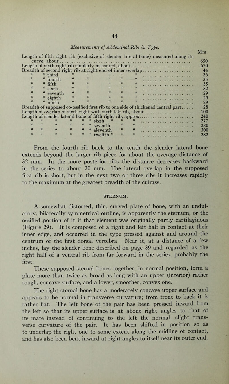 Measurements of Abdominal Ribs in Type. Mm. Length of fifth right rib (exclusive of slender lateral bone) measured along its curve, about. 650 Length of sixth right rib similarly measured, about. 670 Breadth of second right rib at right end of inner overlap. 44 “ “ third “ “ “ “ “ . 36 “ fourth “ “ “ “ “ . 35 “ “ fifth “ “ “ “ “ 35 “ “ ojxth “ “ “ “ “ 32 “ “ seventh “ “ “ “ “ !!!!!!!!!!!!!”!!!! 29 “ “ eighth “ “ “ “ “ 29 “ “ ninth “ “ “ “ “ 29 Breadth of supposed co-ossified first rib to one side of thickened central part. 28 Length of overlap of sixth right with sixth left rib, about. 100 Length of slender lateral bone of fifth right rib, approx. 240 u a u « « « gjxth « « “ 277 “ “ “ “ “ “ seventh “ “ !!!!!!!!!!!!]!!!!! 1!!! 280 “ “ “ “ “ “ eleventh “ “ . 300 “ “ “ “ “ “ twelfth “ “ “ . . . ,. 282 From the fourth rib back to the tenth the slender lateral bone extends beyond the larger rib piece for about the average distance of 32 mm. In the more posterior ribs the distance decreases backward in the series to about 20 mm. The lateral overlap in the supposed first rib is short, but in the next two or three ribs it increases rapidly to the maximum at the greatest breadth of the cuirass. STERNUM. A somewhat distorted, thin, curved plate of bone, with an undul- atory, bilaterally symmetrical outline, is apparently the sternum, or the ossified portion of it if that element was originally partly cartilaginous (Figure 29). It is composed of a right and left half in contact at their inner edge, and occurred in the type pressed against and around the centrum of the first dorsal vertebra. Near it, at a distance of a few inches, lay the slender bone described on page 39 and regarded as the right half of a ventral rib from far forward in the series, probably the first. These supposed sternal bones together, in normal position, form a plate more than twice as broad as long with an upper (interior) rather rough, concave surface, and a lower, smoother, convex one. The right sternal bone has a moderately concave upper surface and appears to be normal in transverse curvature; from front to back it is rather flat. The left bone of the pair has been pressed inward from the left so that its upper surface is at about right angles to that of its mate instead of continuing to the left the normal, slight trans¬ verse curvature of the pair. It has been shifted in position so as to underlap the right one to some extent along the midline of contact, and has also been bent inward at right angles to itself near its outer end.