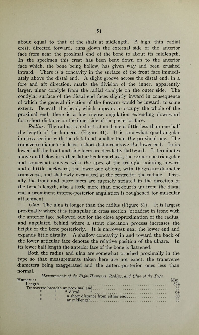 about equal to that of the shaft at midlength. A high, thin, radial crest, directed forward, runs down the external side of the anterior face from near the proximal end of the bone to about its midlength. In the specimen this crest has been bent down on to the anterior face which, the bone being hollow, has given way and been crushed inward. There is a concavity in the surface of the front face immedi¬ ately above the distal end. A slight groove across the distal end, in a fore and aft direction, marks the division of the inner, apparently larger, ulnar condyle from the radial condyle on the outer side. The condylar surface of the distal end faces slightly inward in consequence of which the general direction of the forearm would be inward, to some extent. Beneath the head, which appears to occupy the whole of the proximal end, there is a low rugose angulation extending downward for a short distance on the inner side of the posterior face. Radius. The radius is a short, stout bone a little less than one-half the length of the humerus (Figure 31). It is somewhat quadrangular in cross section with the distal end smaller than the proximal one. The transverse diameter is least a short distance above the lower end. In its lower half the front and side faces are decidedly flattened. It terminates above and below in rather flat articular surfaces, the upper one triangular and somewhat convex with the apex of the triangle pointing inward and a litttle backward, the lower one oblong, with the greater diameter transverse, and shallowly excavated at the centre for the radiale. Dist- ally the front and outer faces are rugosely striated in the direction of the bone’s length, also a little more than one-fourth up from the distal end a prominent interno-posterior angulation is roughened for muscular attachment. Ulna. The ulna is longer than the radius (Figure 31). It is largest proximally where it is triangular in cross section, broadest in front with the anterior face hollowed out for the close approximation of the radius, and angulated behind where a stout olecranon process increases the height of the bone posteriorly. It is narrowest near the lower end and expands little distally. A shallow concavity in and toward the back of the lower articular face denotes the relative position of the ulnare. In its lower half length the anterior face of the bone is flattened. Both the radius and ulna are somewhat crushed proximally in the type so that measurements taken here are not exact, the transverse diameters being exaggerated and the antero-posterior ones less than normal. Measurements of the Right Humerus, Radius, and Ulna of the Type. Humerus: Mm. Length. 324 Transverse breadth at proximal end. 55 “ “ “ distal “ . 64 a short distance from either end. 50 “ “ at midlength. 55