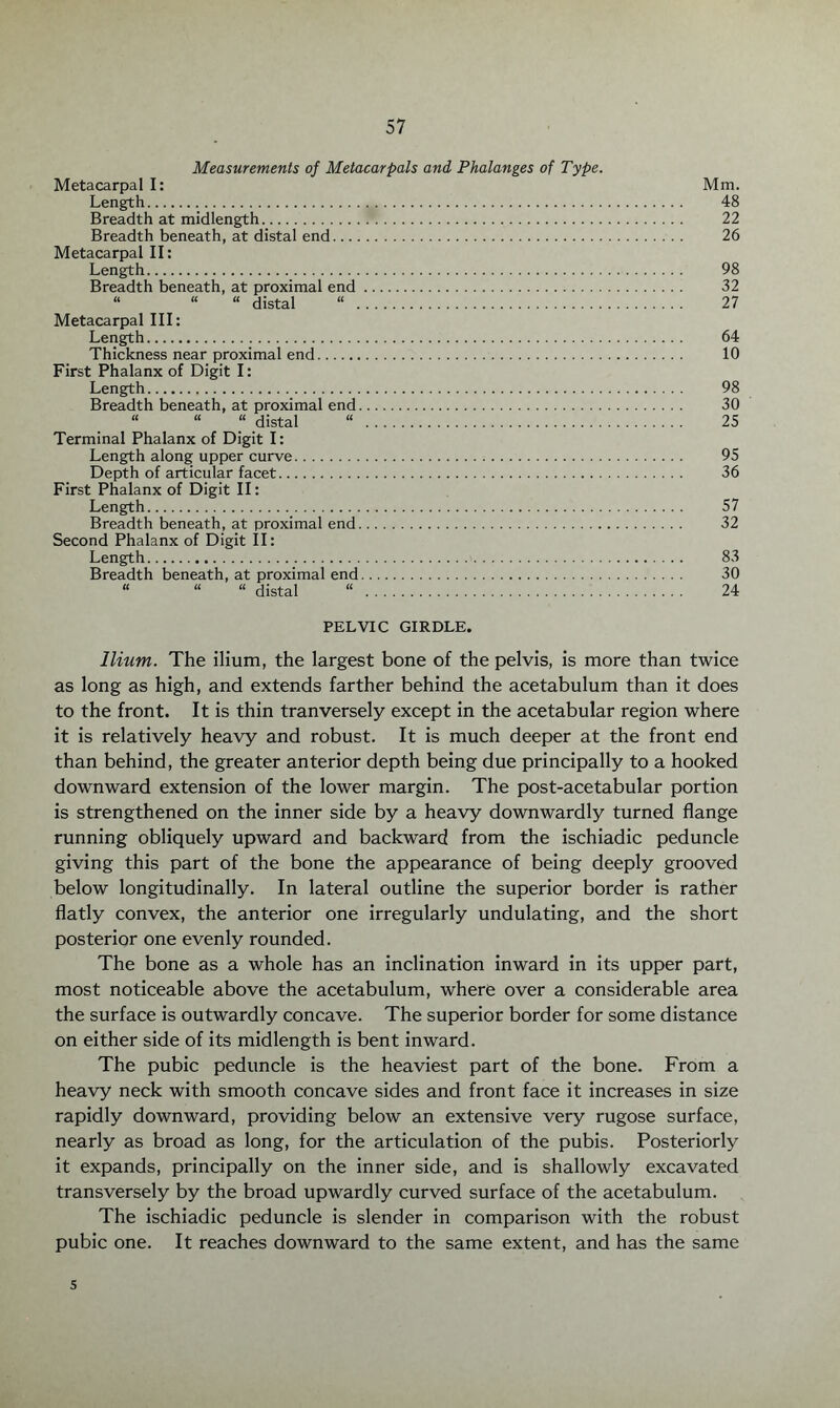 Measurements of Metacar pals and Phalanges of Type. Metacarpal I: Mm. Length. 48 Breadth at midlength. 22 Breadth beneath, at distal end. 26 Metacarpal II: Length. 98 Breadth beneath, at proximal end. 32 “ “ “ distal “ . 27 Metacarpal III: Length. 64 Thickness near proximal end. 10 First Phalanx of Digit I: Length. 98 Breadth beneath, at proximal end. 30 “ “ “ distal “ . 25 Terminal Phalanx of Digit I: Length along upper curve. 95 Depth of articular facet. 36 First Phalanx of Digit II: Length. 57 Breadth beneath, at proximal end. 32 Second Phalanx of Digit II: Length. 83 Breadth beneath, at proximal end. 30 “ “ “ distal “ . 24 PELVIC GIRDLE. Ilium. The ilium, the largest bone of the pelvis, is more than twice as long as high, and extends farther behind the acetabulum than it does to the front. It is thin tranversely except in the acetabular region where it is relatively heavy and robust. It is much deeper at the front end than behind, the greater anterior depth being due principally to a hooked downward extension of the lower margin. The post-acetabular portion is strengthened on the inner side by a heavy downwardly turned flange running obliquely upward and backward from the ischiadic peduncle giving this part of the bone the appearance of being deeply grooved below longitudinally. In lateral outline the superior border is rather flatly convex, the anterior one irregularly undulating, and the short posterior one evenly rounded. The bone as a whole has an inclination inward in its upper part, most noticeable above the acetabulum, where over a considerable area the surface is outwardly concave. The superior border for some distance on either side of its midlength is bent inward. The pubic peduncle is the heaviest part of the bone. From a heavy neck with smooth concave sides and front face it increases in size rapidly downward, providing below an extensive very rugose surface, nearly as broad as long, for the articulation of the pubis. Posteriorly it expands, principally on the inner side, and is shallowly excavated transversely by the broad upwardly curved surface of the acetabulum. The ischiadic peduncle is slender in comparison with the robust pubic one. It reaches downward to the same extent, and has the same s