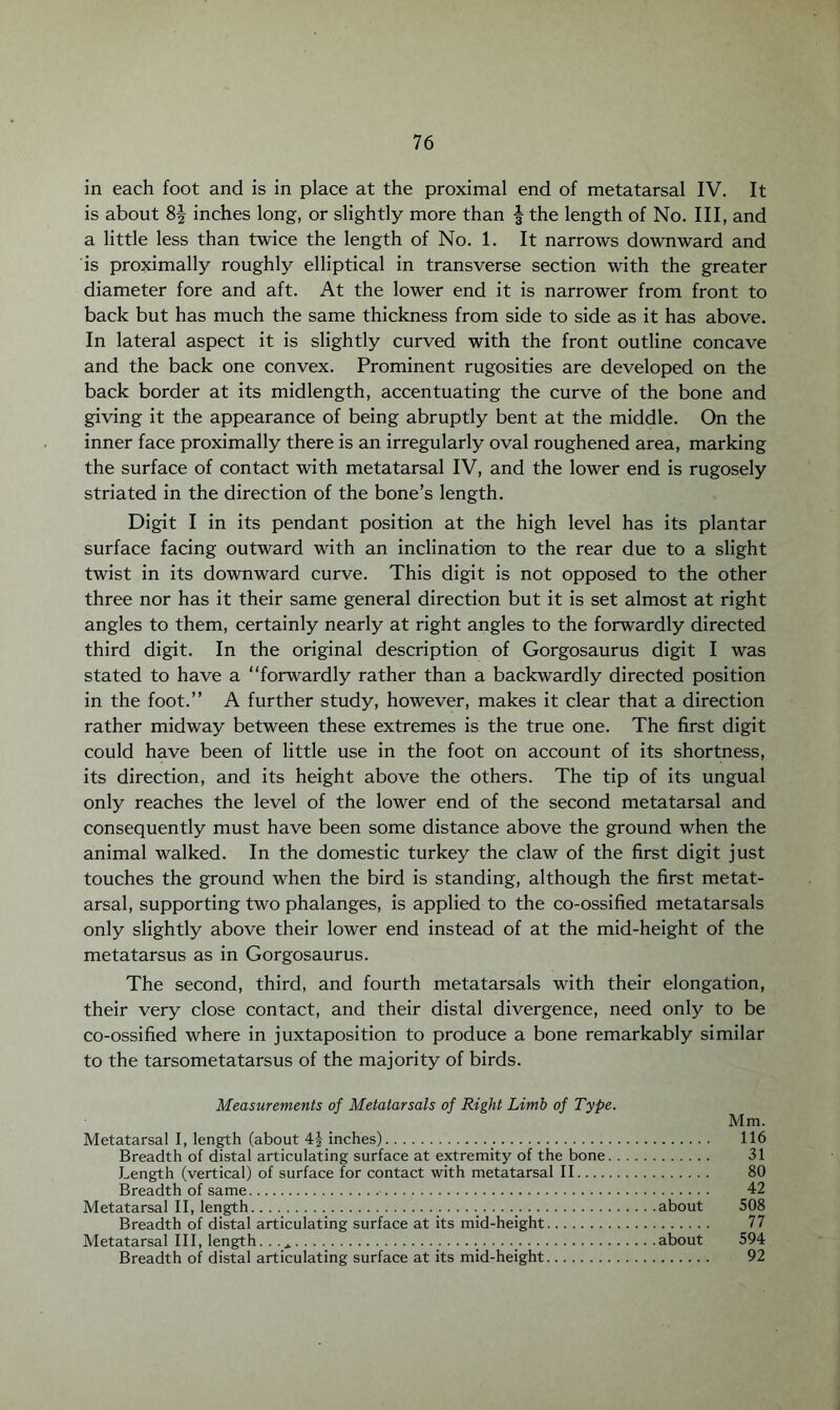 in each foot and is in place at the proximal end of metatarsal IV. It is about 8| inches long, or slightly more than f the length of No. Ill, and a little less than twice the length of No. 1. It narrows downward and is proximally roughly elliptical in transverse section with the greater diameter fore and aft. At the lower end it is narrower from front to back but has much the same thickness from side to side as it has above. In lateral aspect it is slightly curved with the front outline concave and the back one convex. Prominent rugosities are developed on the back border at its midlength, accentuating the curve of the bone and giving it the appearance of being abruptly bent at the middle. On the inner face proximally there is an irregularly oval roughened area, marking the surface of contact with metatarsal IV, and the lower end is rugosely striated in the direction of the bone’s length. Digit I in its pendant position at the high level has its plantar surface facing outward with an inclination to the rear due to a slight twist in its downward curve. This digit is not opposed to the other three nor has it their same general direction but it is set almost at right angles to them, certainly nearly at right angles to the forwardly directed third digit. In the original description of Gorgosaurus digit I was stated to have a “forwardly rather than a backwardly directed position in the foot.” A further study, however, makes it clear that a direction rather midway between these extremes is the true one. The first digit could have been of little use in the foot on account of its shortness, its direction, and its height above the others. The tip of its ungual only reaches the level of the lower end of the second metatarsal and consequently must have been some distance above the ground when the animal walked. In the domestic turkey the claw of the first digit just touches the ground when the bird is standing, although the first metat¬ arsal, supporting two phalanges, is applied to the co-ossified metatarsals only slightly above their lower end instead of at the mid-height of the metatarsus as in Gorgosaurus. The second, third, and fourth metatarsals with their elongation, their very close contact, and their distal divergence, need only to be co-ossified where in juxtaposition to produce a bone remarkably similar to the tarsometatarsus of the majority of birds. Measurements of Metatarsals of Right Limb of Typ< Metatarsal I, length (about 4J inches).. Breadth of distal articulating surface at extremity of the bone Length (vertical) of surface for contact with metatarsal II.... Breadth of same.. Metatarsal II, length.._........... Breadth of distal articulating surface at its mid-height. Metatarsal III, length. . . A. . . ............ Breadth of distal articulating surface at its mid-height. Mm. . 116 . 31 . 80 . 42 about 508 . 77 about 594 . 92