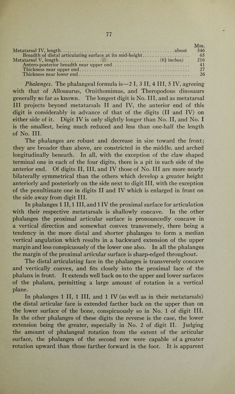 Mm. Metatarsal IV, length.about 546 Breadth of distal articulating surface at its mid-height. 65 Metatarsal V, length..(85 inches) 216 Antero-posterior breadth near upper end. 41 Thickness near upper end. 27 Thickness near lower end. 26 Phalanges. The phalangeal formula is—2 I, 3 II, 4 III, 5 IV, agreeing with that of Allosaurus, Ornithomimus, and Theropodous dinosaurs generally so far as known. The longest digit is No. Ill, and as metatarsal III projects beyond metatarsals II and IV, the anterior end of this digit is considerably in advance of that of the digits (II and IV) on either side of it. Digit IV is only slightly longer than No. II, and No. I is the smallest, being much reduced and less than one-half the length of No. III. The phalanges are robust and decrease in size toward the front; they are broader than above, are constricted in the middle, and arched longitudinally beneath. In all, with the exception of the claw shaped terminal one in each of the four digits, there is a pit in each side of the anterior end. Of digits II, III, and IV those of No. Ill are more nearly bilaterally symmetrical than the others which develop a greater height anteriorly and posteriorly on the side next to digit III, with the exception of the penultimate one in digits II and IV which is enlarged in front on the side away from digit III. In phalanges 1 11,1 III, and 1IV the proximal surface for articulation with their respective metatarsals is shallowly concave. In the other phalanges the proximal articular surface is pronouncedly concave in a vertical direction and somewhat convex transversely, there being a tendency in the more distal and shorter phalanges to form a median vertical angulation which results in a backward extension of the upper margin and less conspicuously of the lower one also. In all the phalanges the margin of the proximal articular surface is sharp-edged throughout. The distal articulating face in the phalanges is transversely concave and vertically convex, and fits closely into the proximal face of the phalanx in front. It extends well back on to the upper and lower surfaces of the phalanx, permitting a large amount of rotation in a vertical plane. In phalanges 1 II, 1 III, and 1 IV (as well as in their metatarsals) the distal articular face is extended farther back on the upper than on the lower surface of the bone, conspicuously so in No. 1 of digit III. In the other phalanges of these digits the reverse is the case, the lower extension being the greater, especially in No. 2 of digit II. Judging the amount of phalangeal rotation from the extent of the articular surface, the phalanges of the second row were capable of a greater rotation upward than those farther forward in the foot. It is apparent